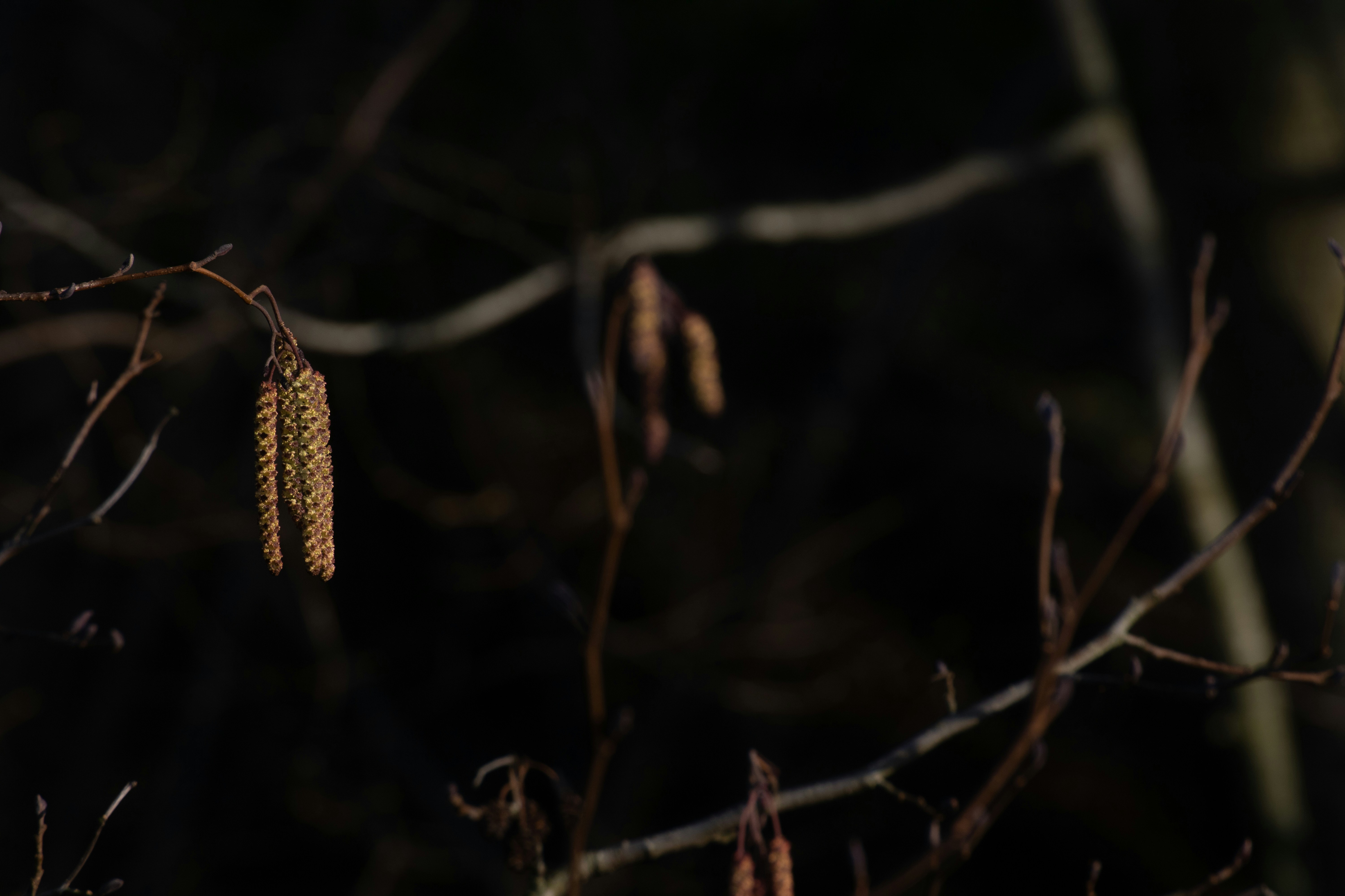 Photo by mirkofabian