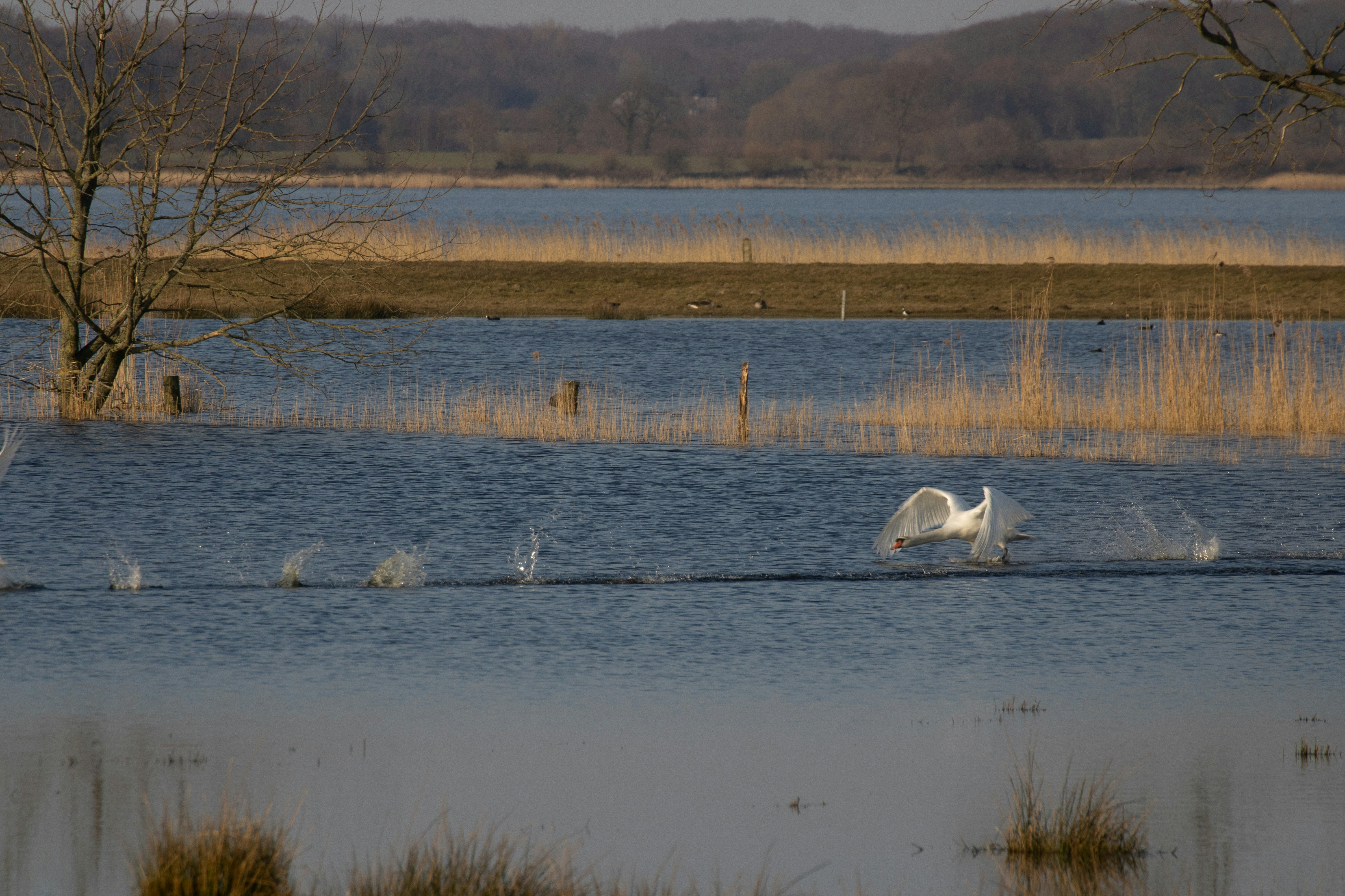 Photo by mirkofabian