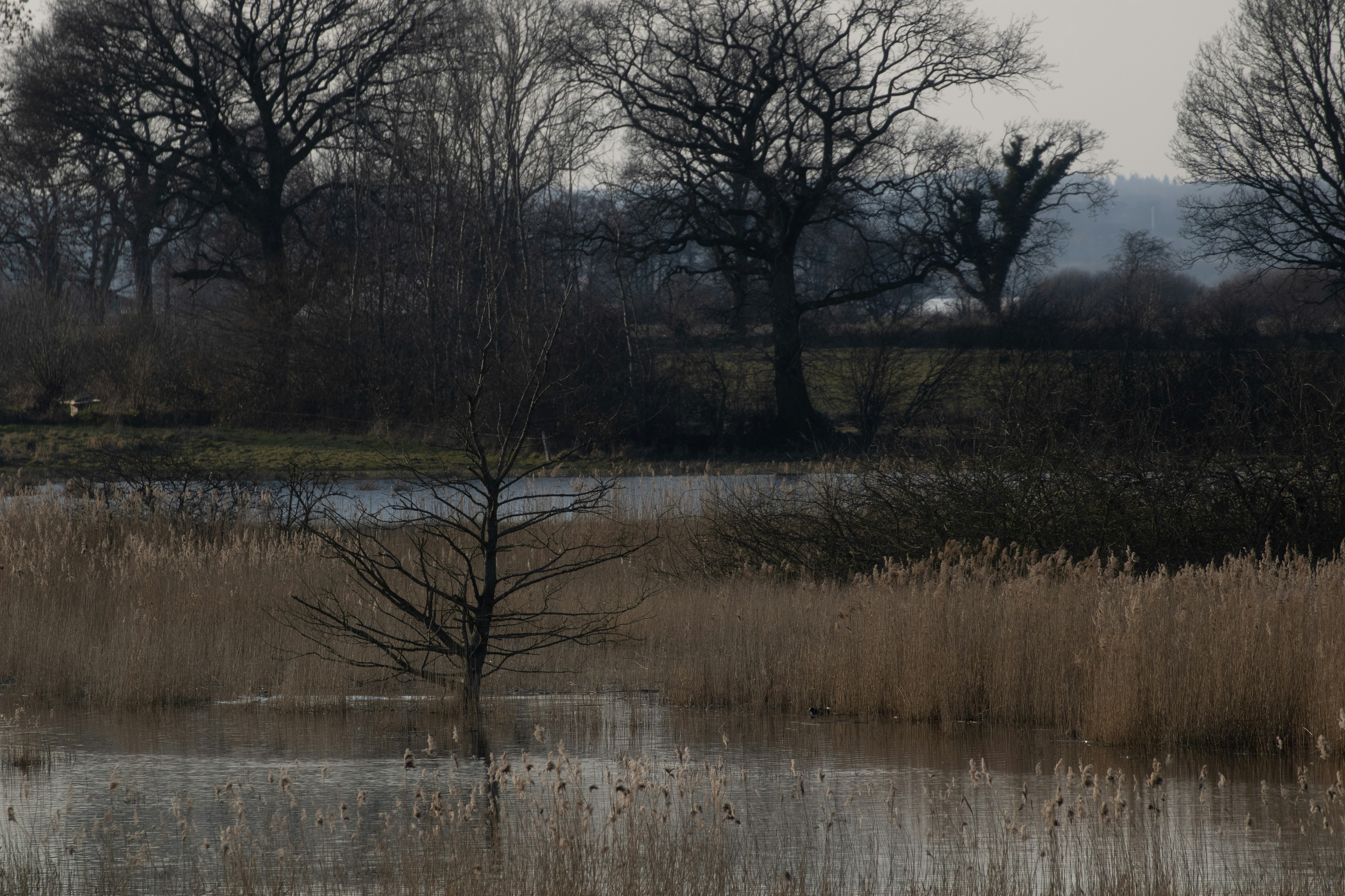 Photo by mirkofabian