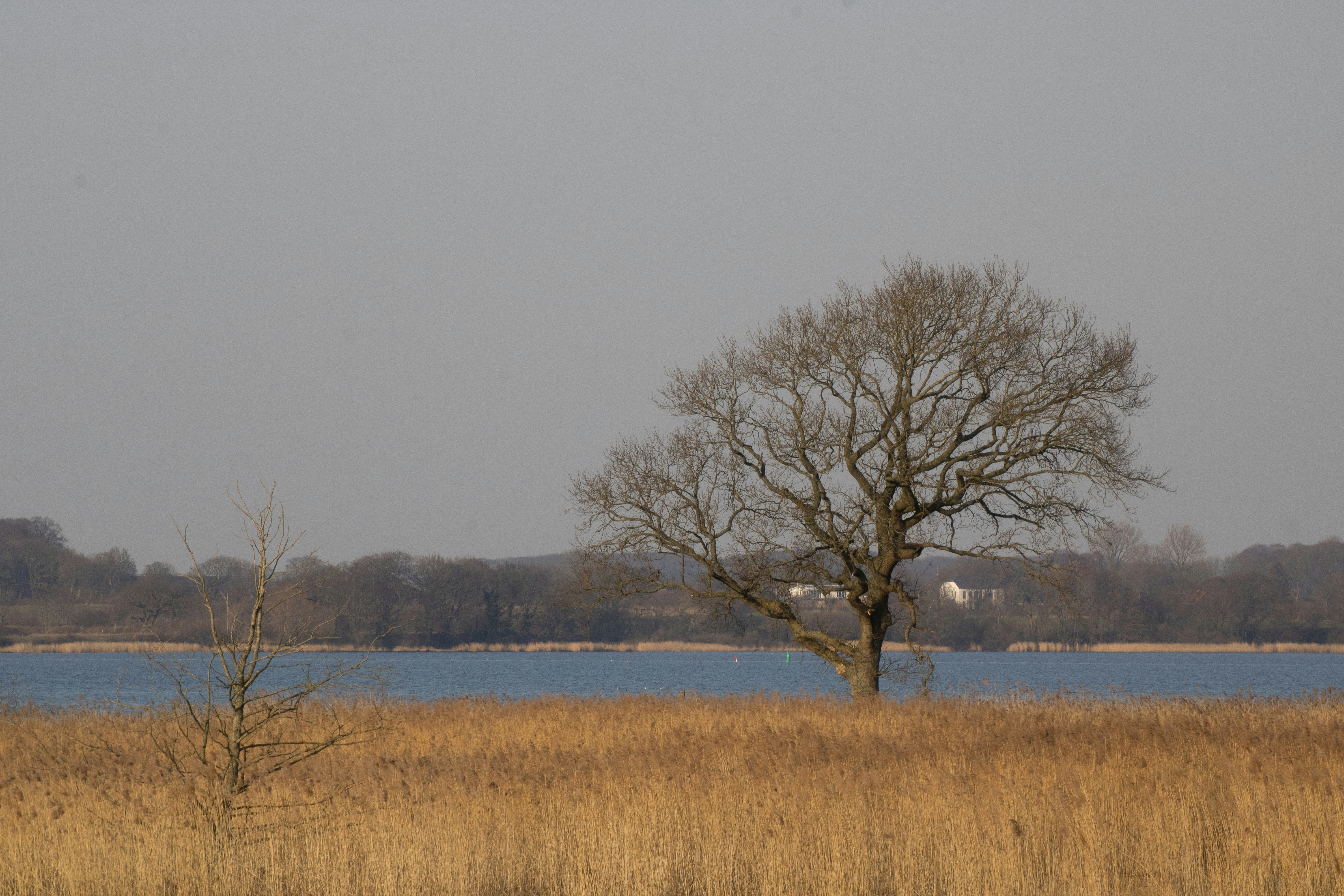 Photo by mirkofabian