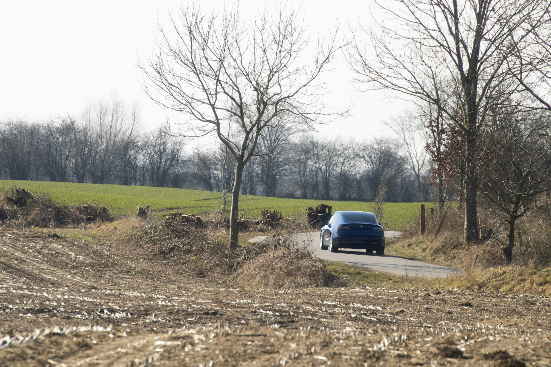 A wide shot of a car driving through a peaceful countryside with clear blue skies and scattered trees on a sunny day.