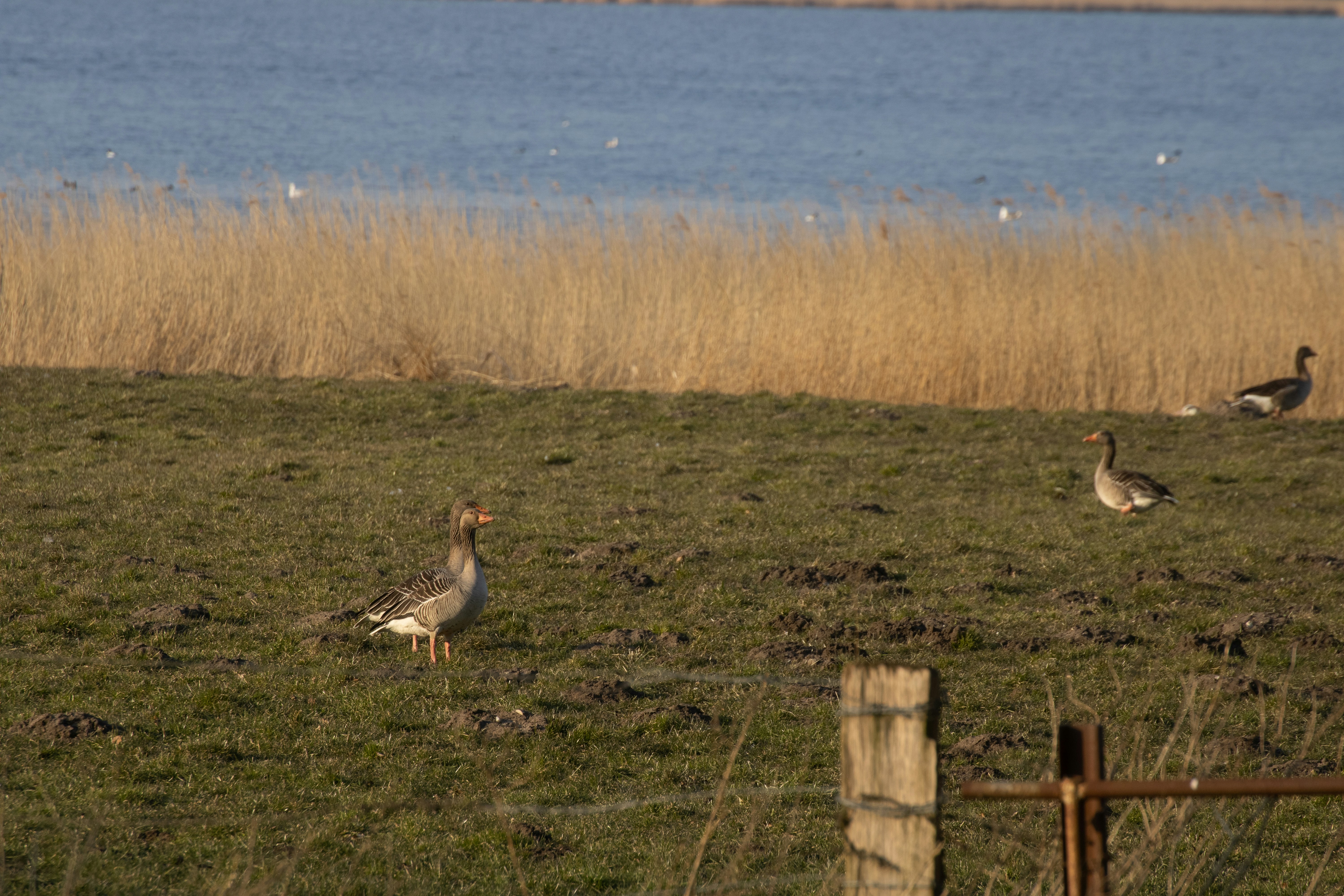 Photo by mirkofabian