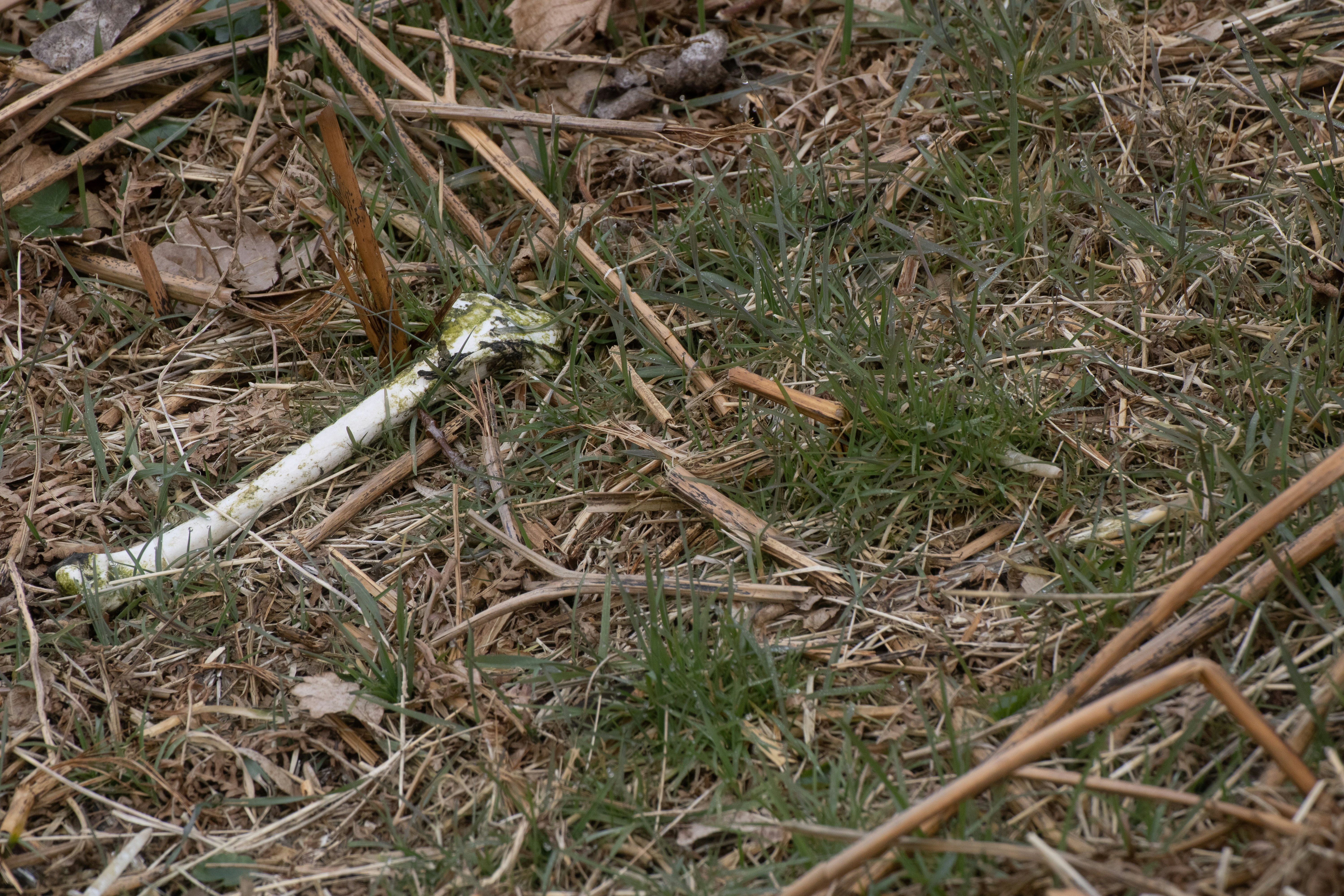 Encuentran en Amozoc cadáver de hombre desaparecido en Tecali