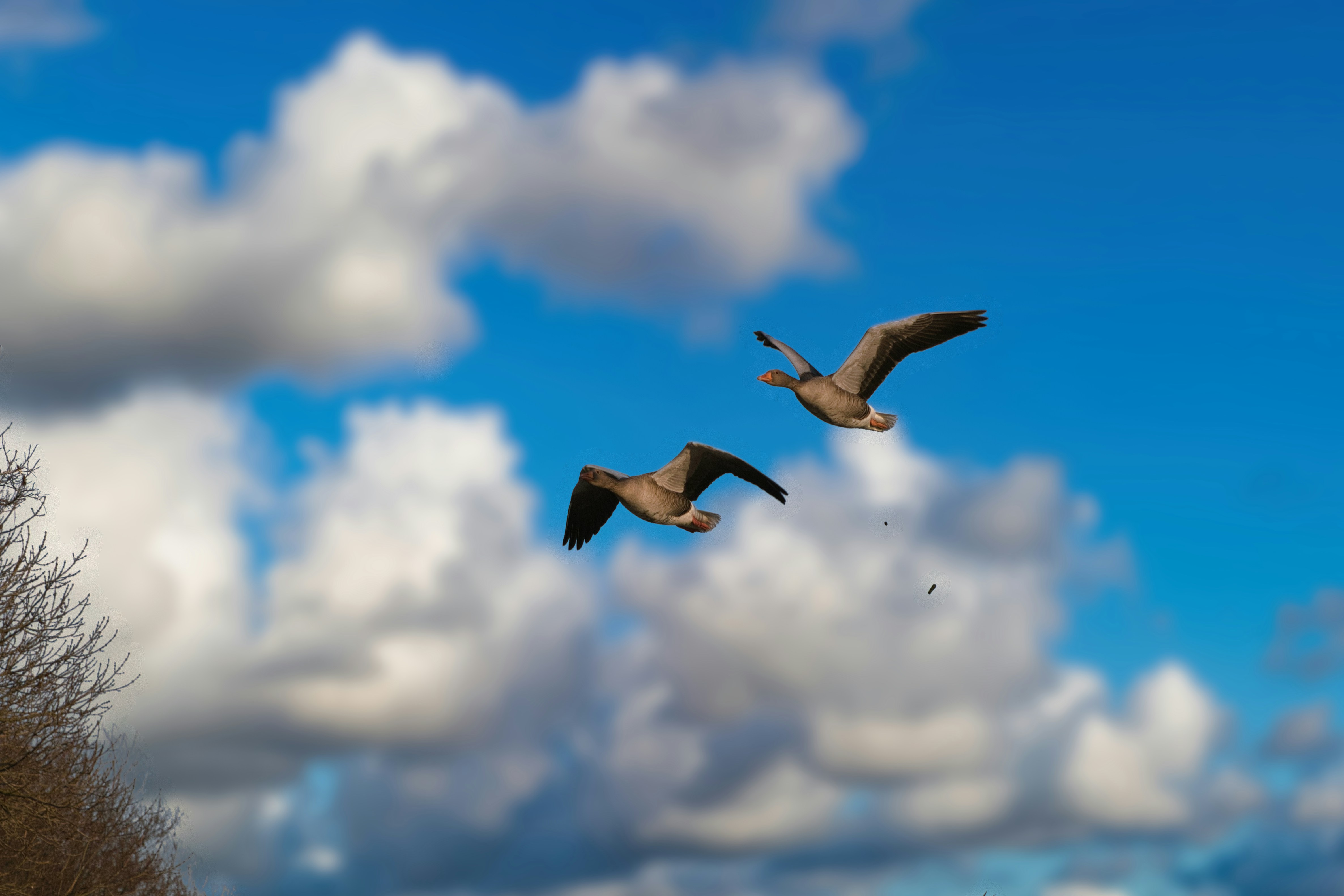 Photo by scorpione1946