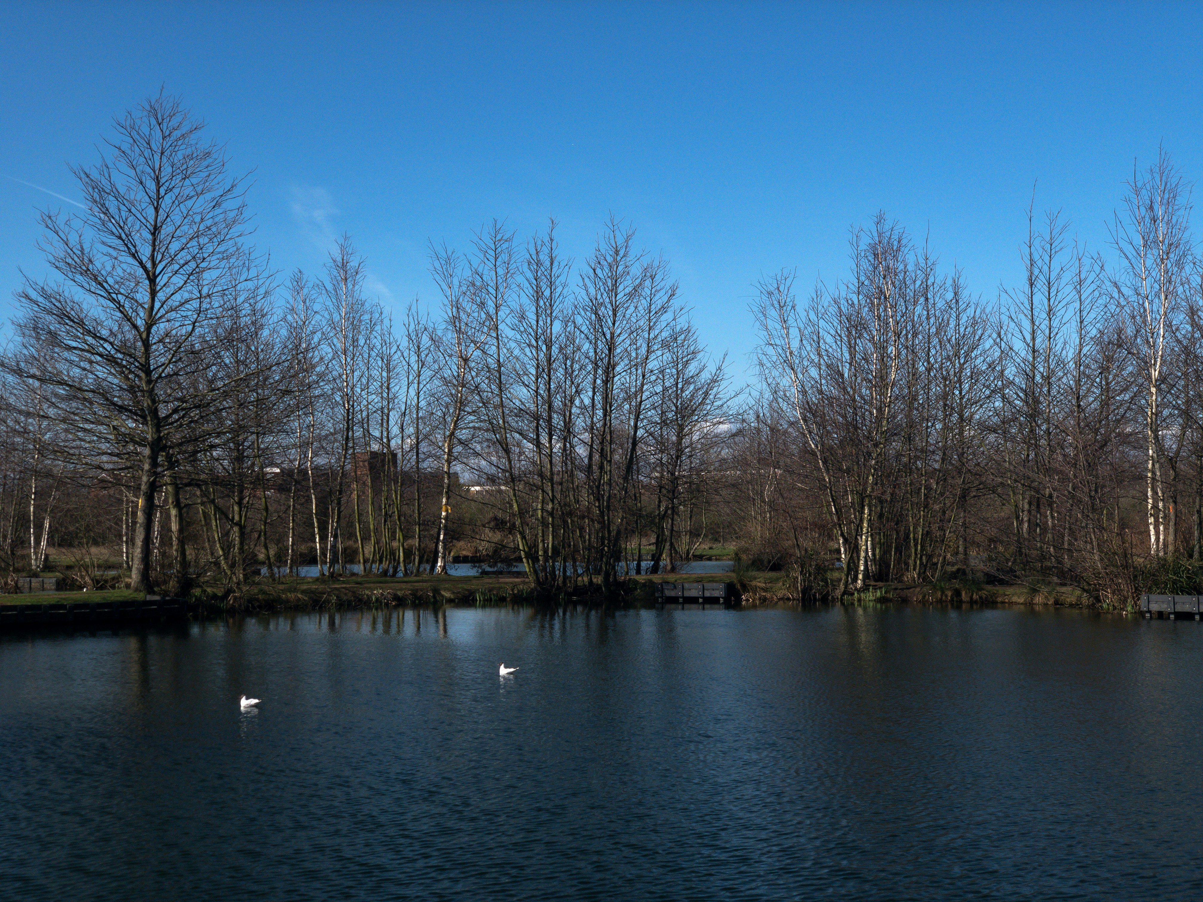 Photo by brett_jordan