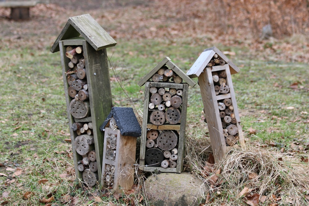 a group of bird houses sitting on top of a grass covered field