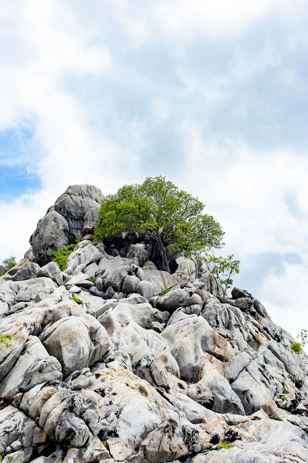 a rock formation with a tree on top of it