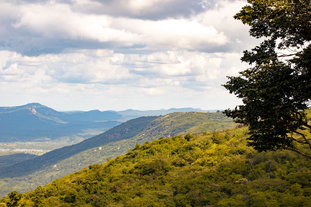 a scenic view of a valley with mountains in the distance