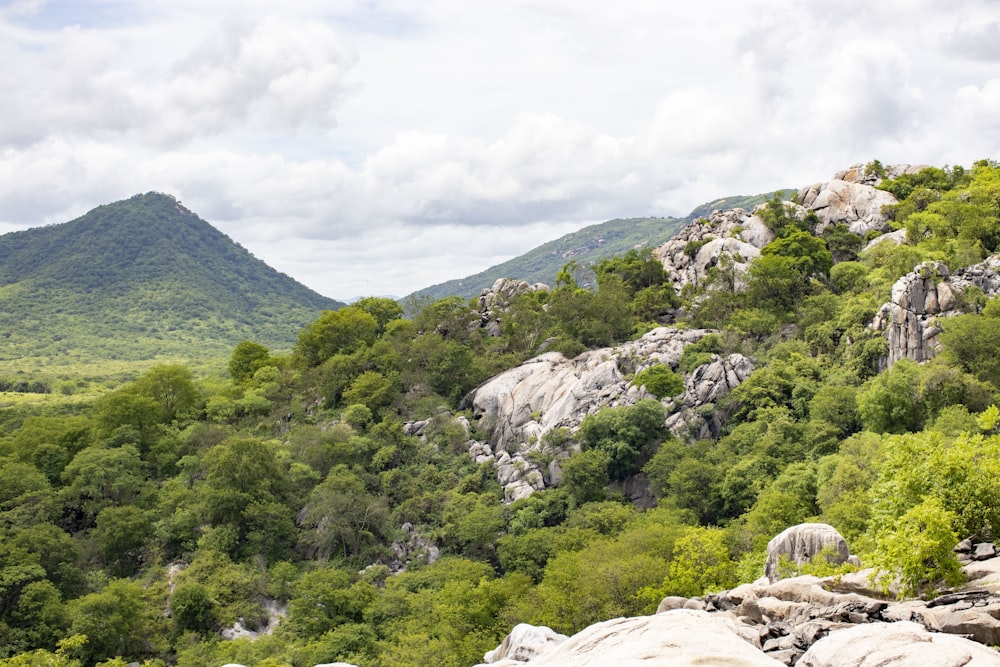 a mountain view with a sheep standing on top of it