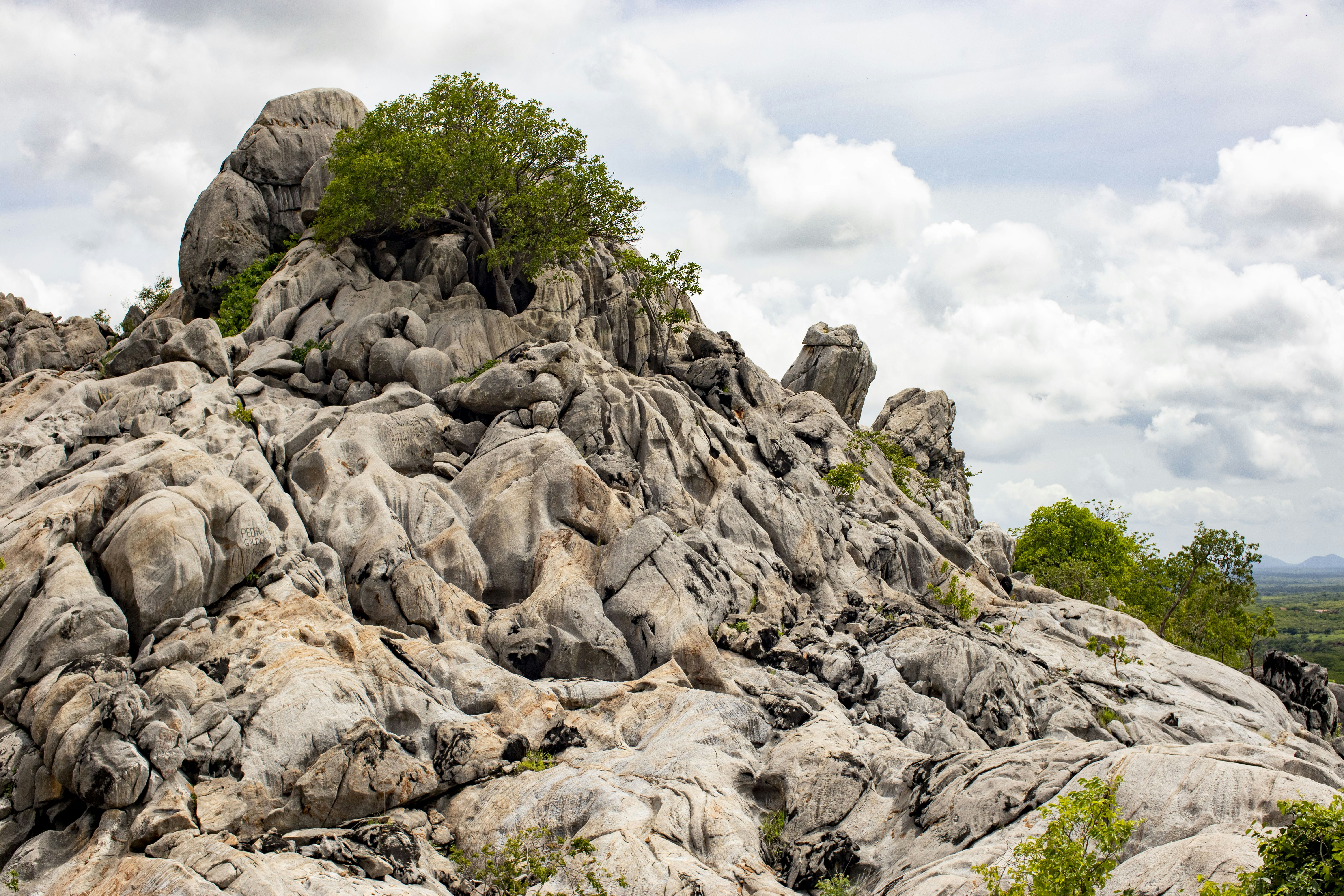 uma grande formação rochosa com árvores em cima dela