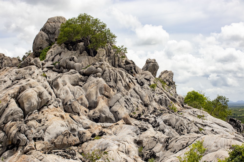 a large rock formation with trees on top of it