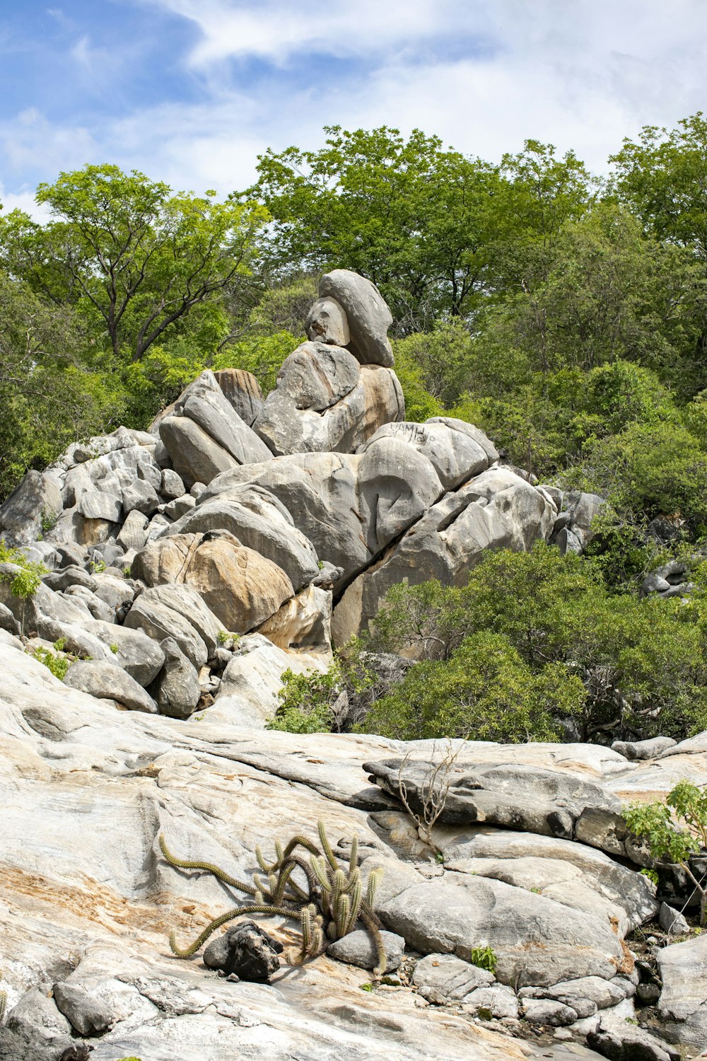 a large rock formation in the middle of a forest