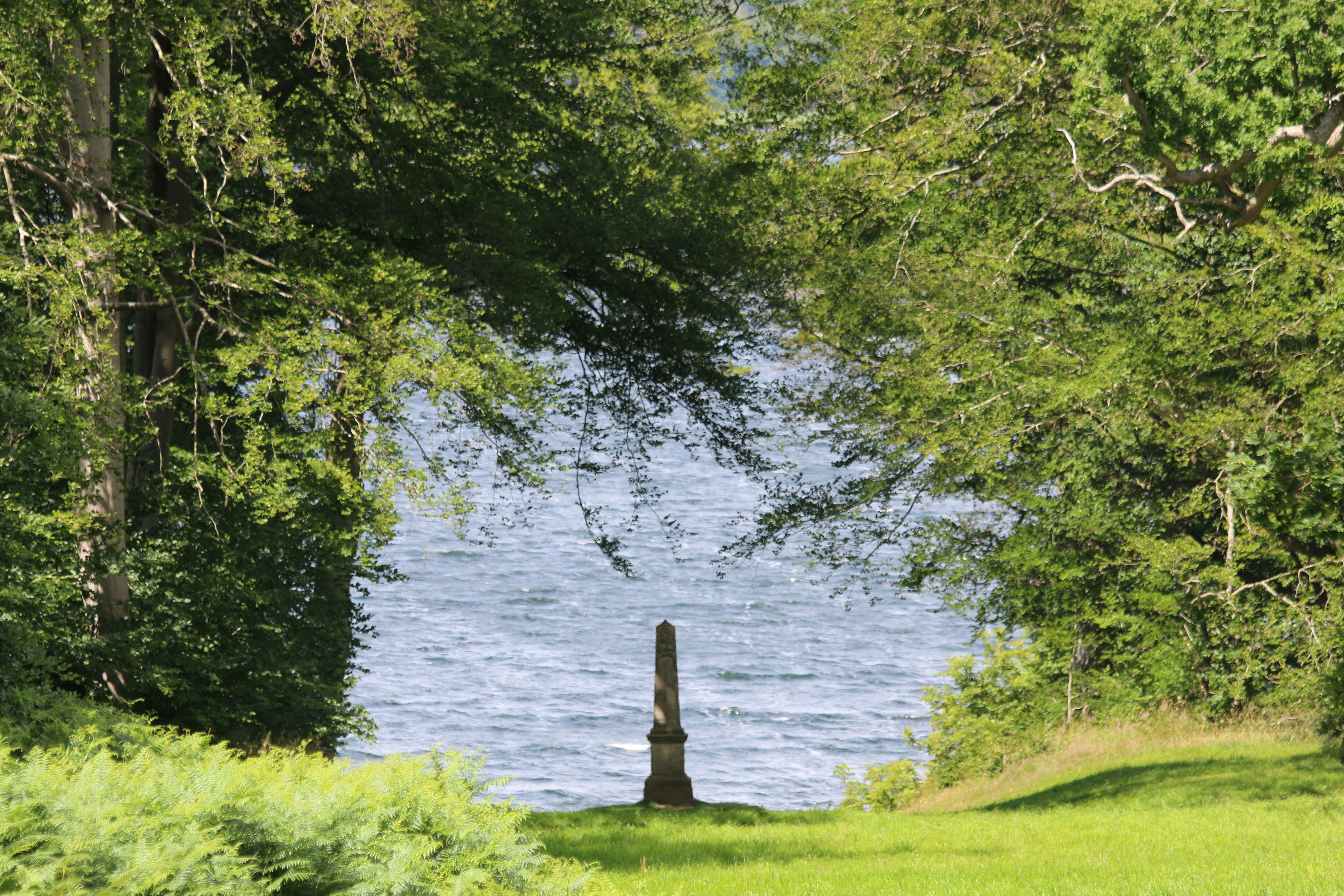 a view of a body of water through some trees