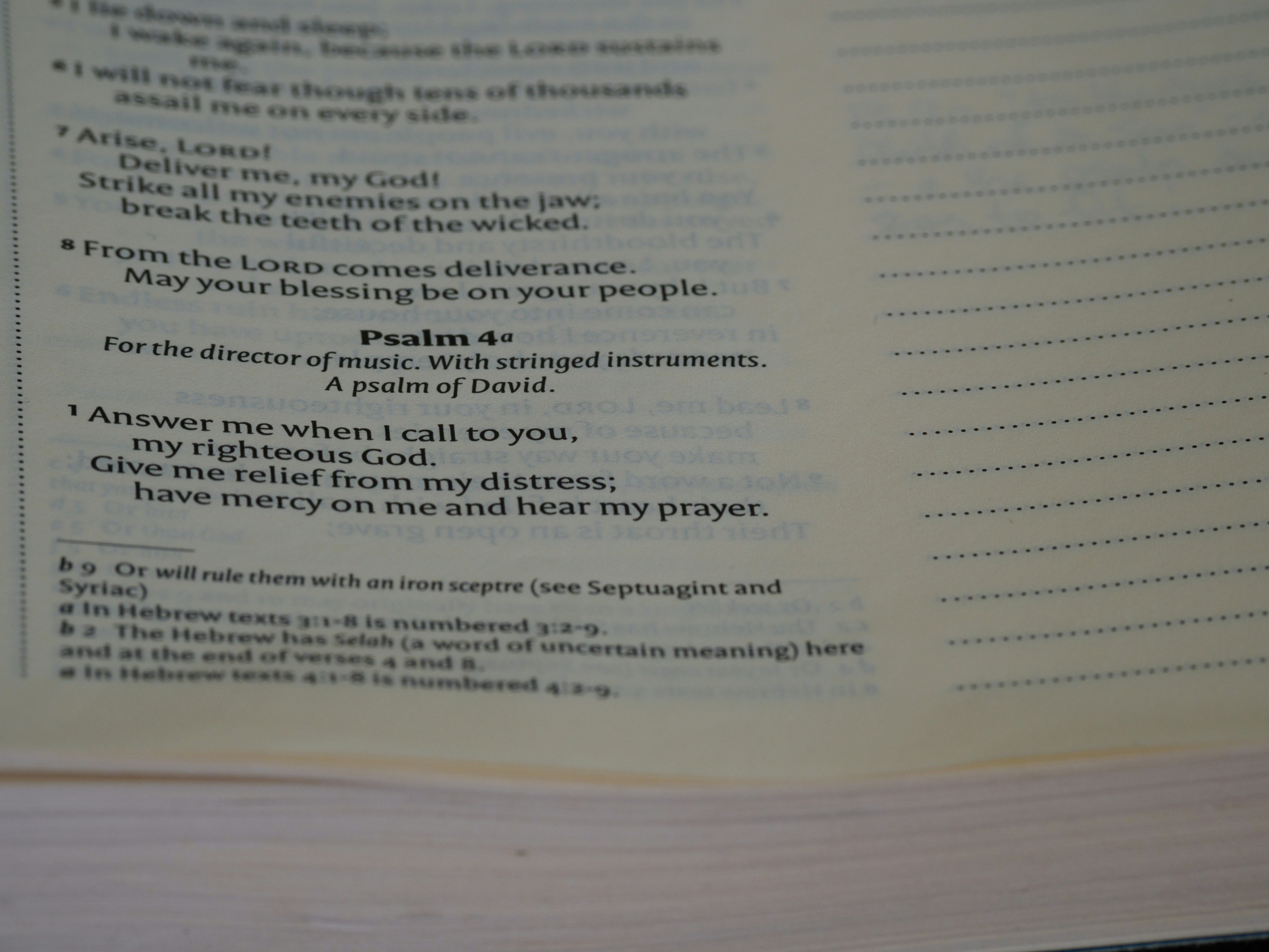 close up, bokeh, macro, blur, blurred background, close focus, bible, old testament, hebrew bible, christian, judaism, history, text, reading, bible study, devotions, text, NIV, New International Version, type, typography, canon, christianity, holy scripture, holy bible, scripture, old testament, hebrew bible, תְּהִלִּים, psalms, psalter, ketuvim, writings, tanakh, king david, <br />