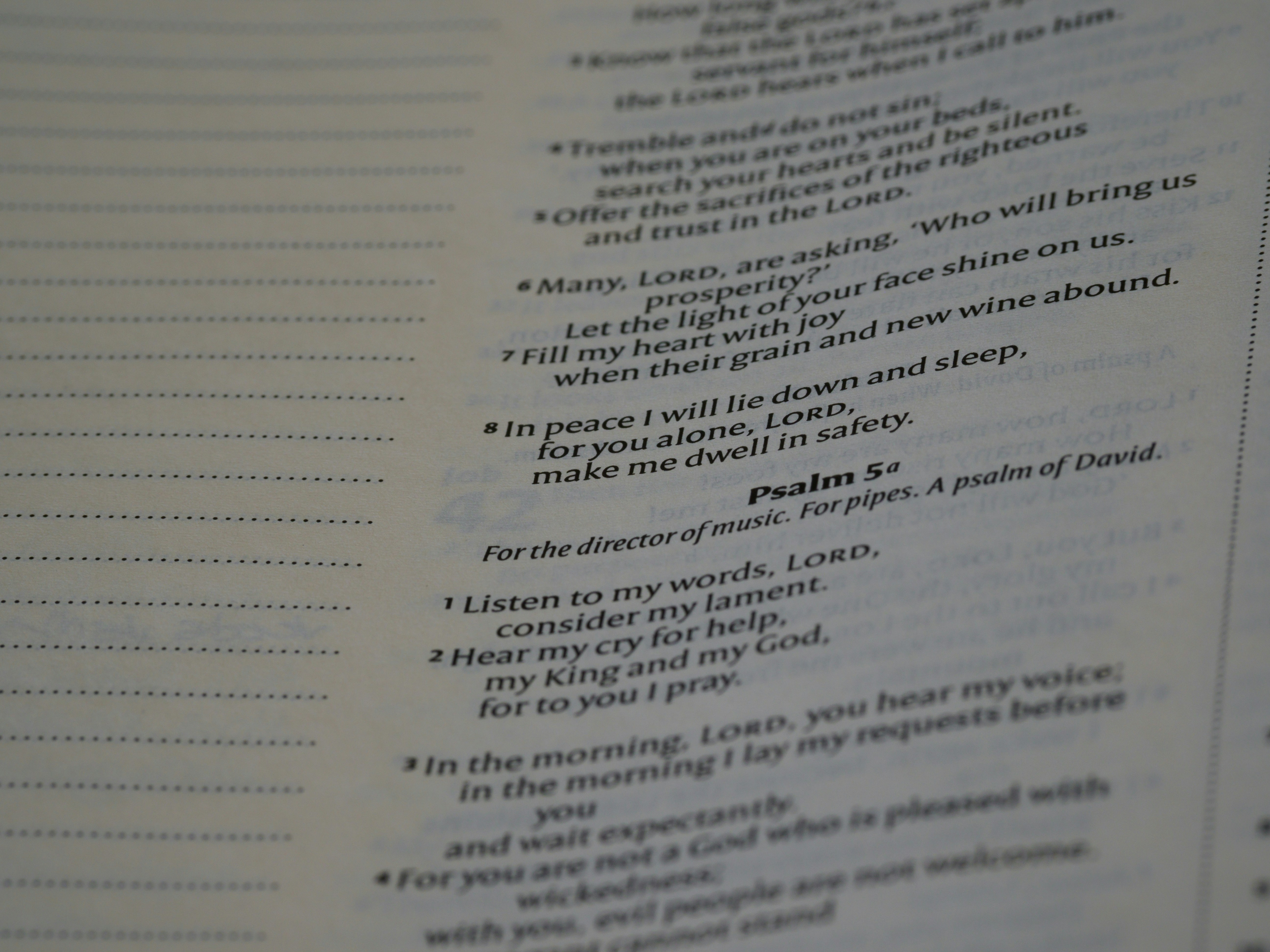 Photo by brett_jordan