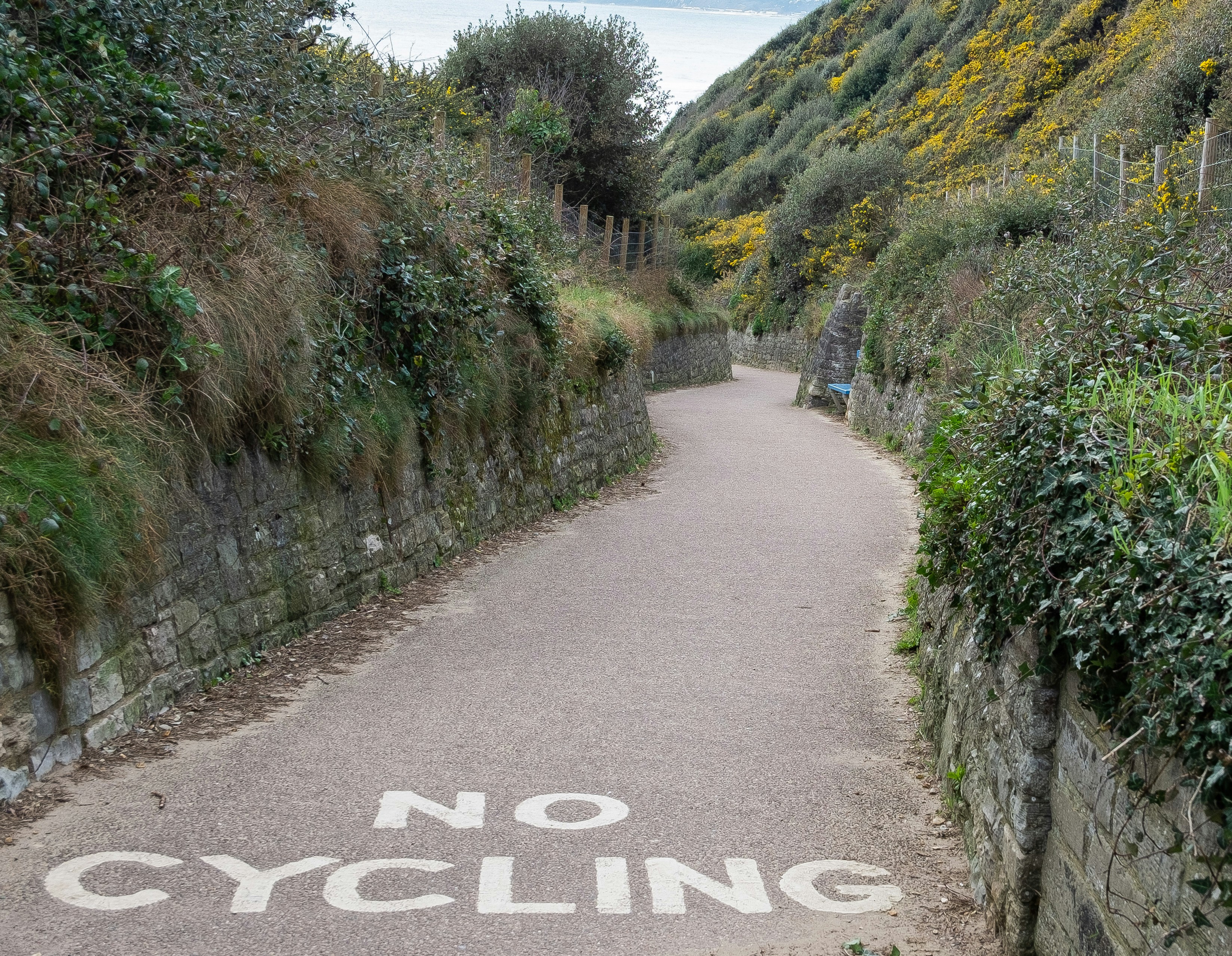 Un letrero que dice que no se puede andar en bicicleta al costado de una carretera