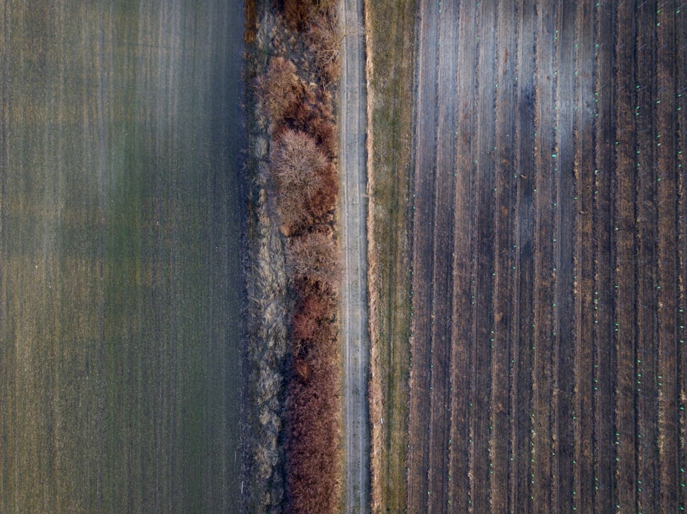 an aerial view of a field and a road