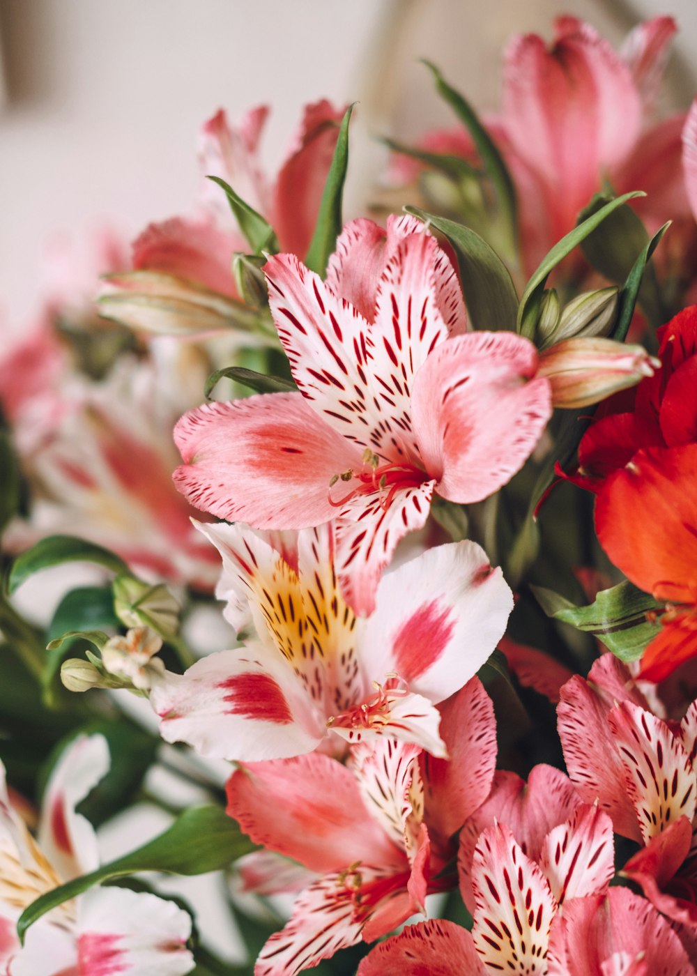 a bunch of pink and white flowers in a vase