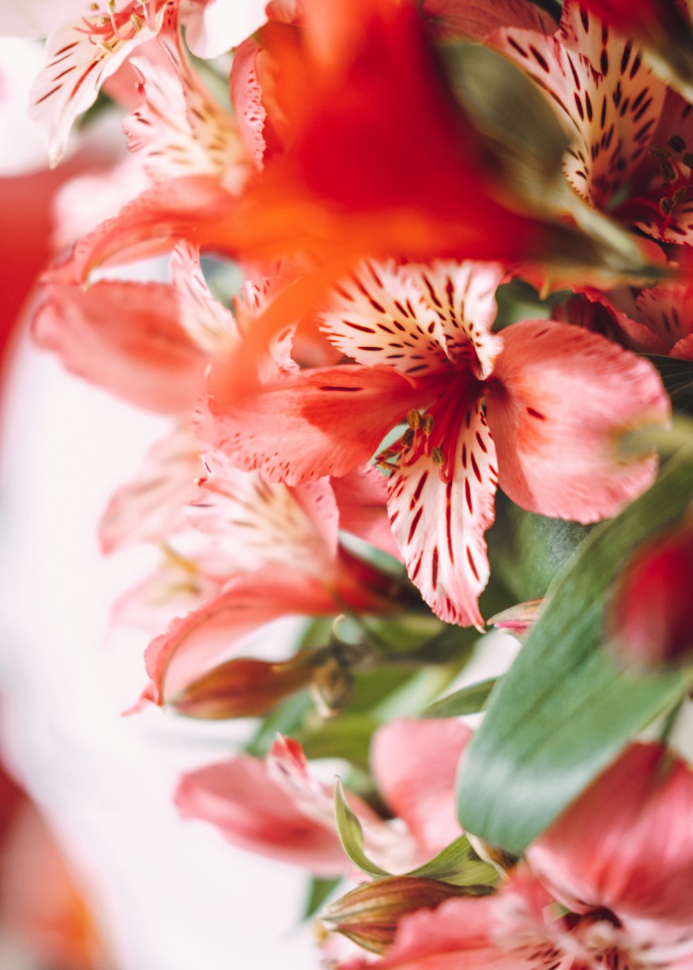 a bunch of flowers that are on a table