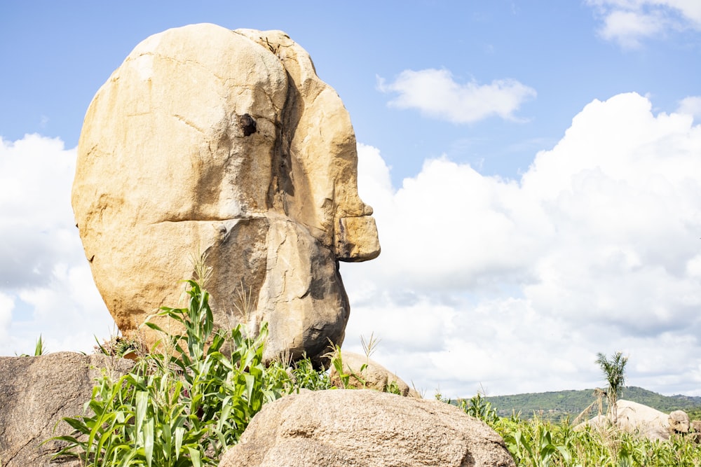 a large rock in the middle of a field