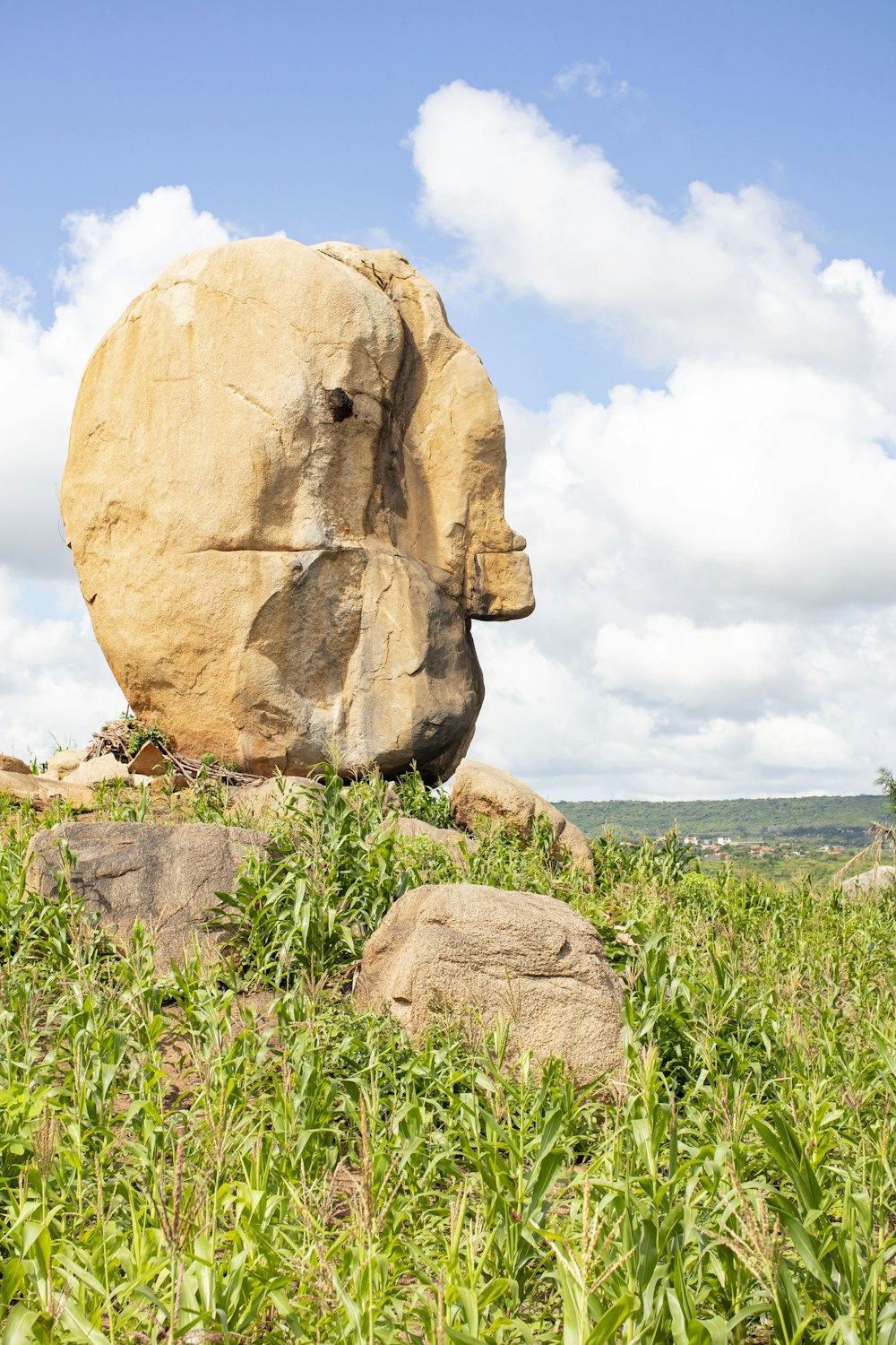 a large rock in the middle of a field