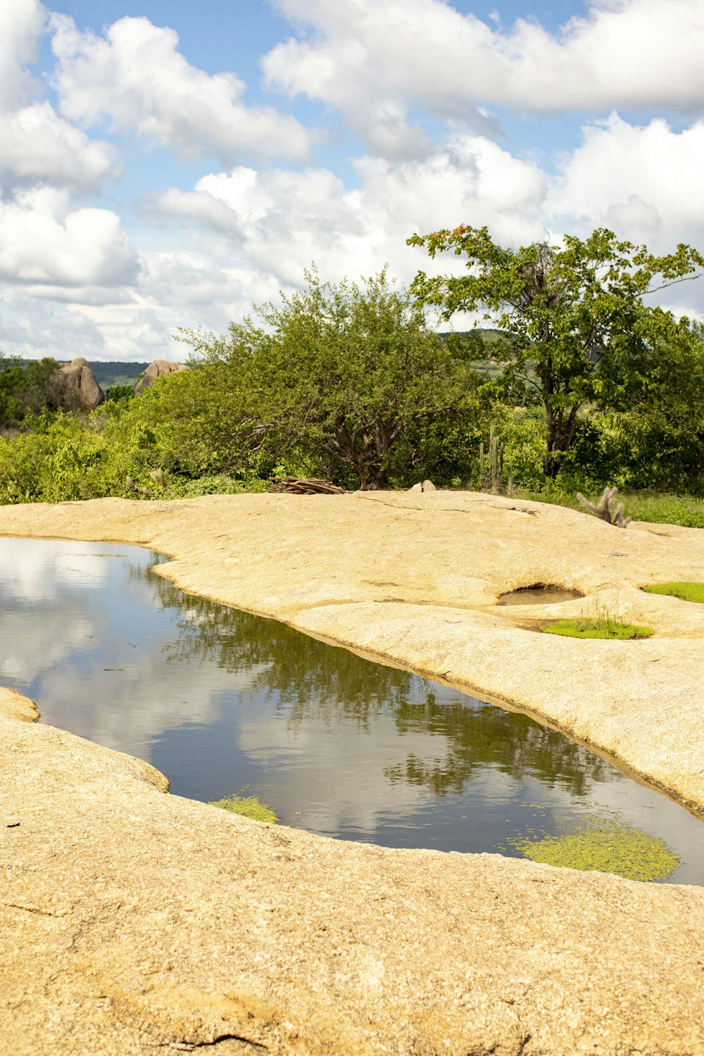 a giraffe standing next to a body of water