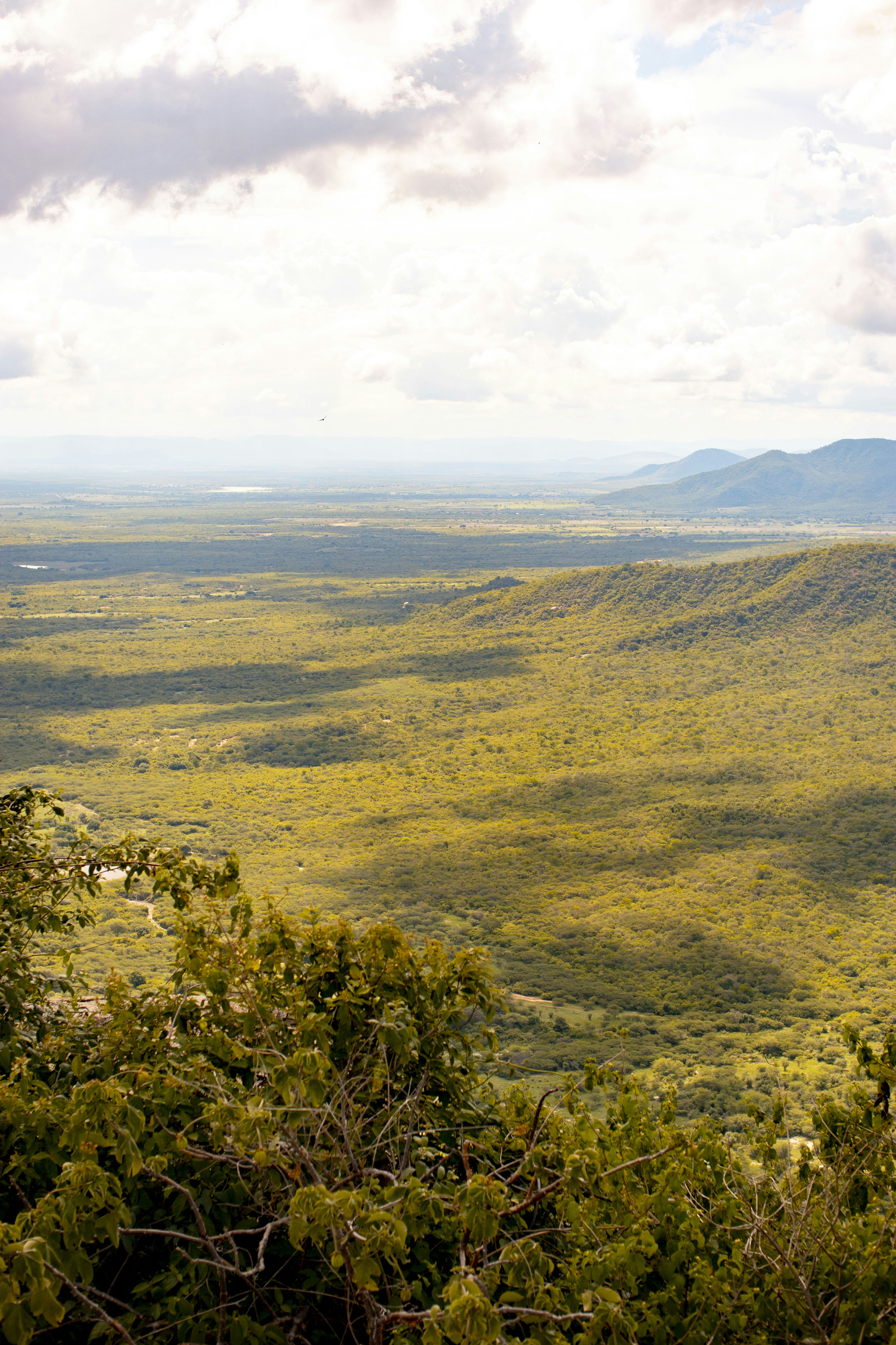 uma vista panorâmica de um vale com montanhas à distância