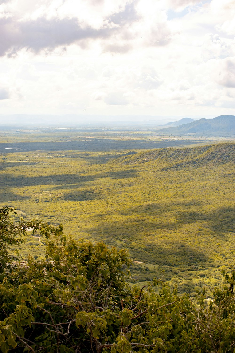 a scenic view of a valley with mountains in the distance