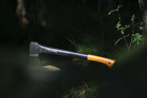 A single axe with an orange and black handle is embedded into a wooden log or stump. The scene is surrounded by greenery, suggesting a forest or wooded area. The lighting is dim, with sunlight partially illuminating the axe and the nearby foliage.