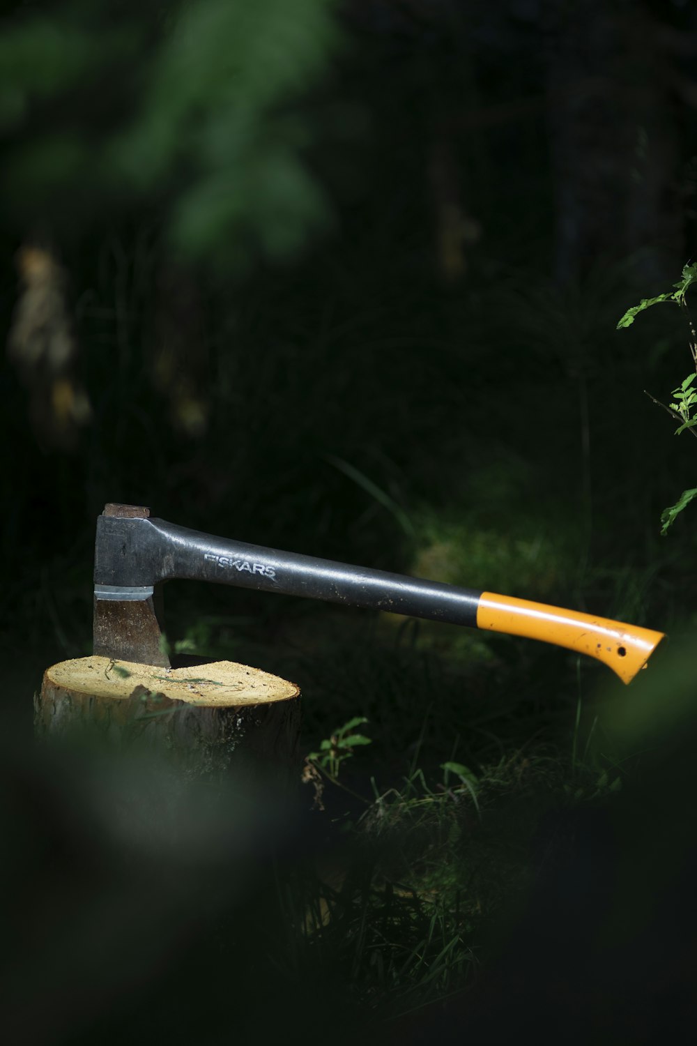an axe stuck in a stump in the woods