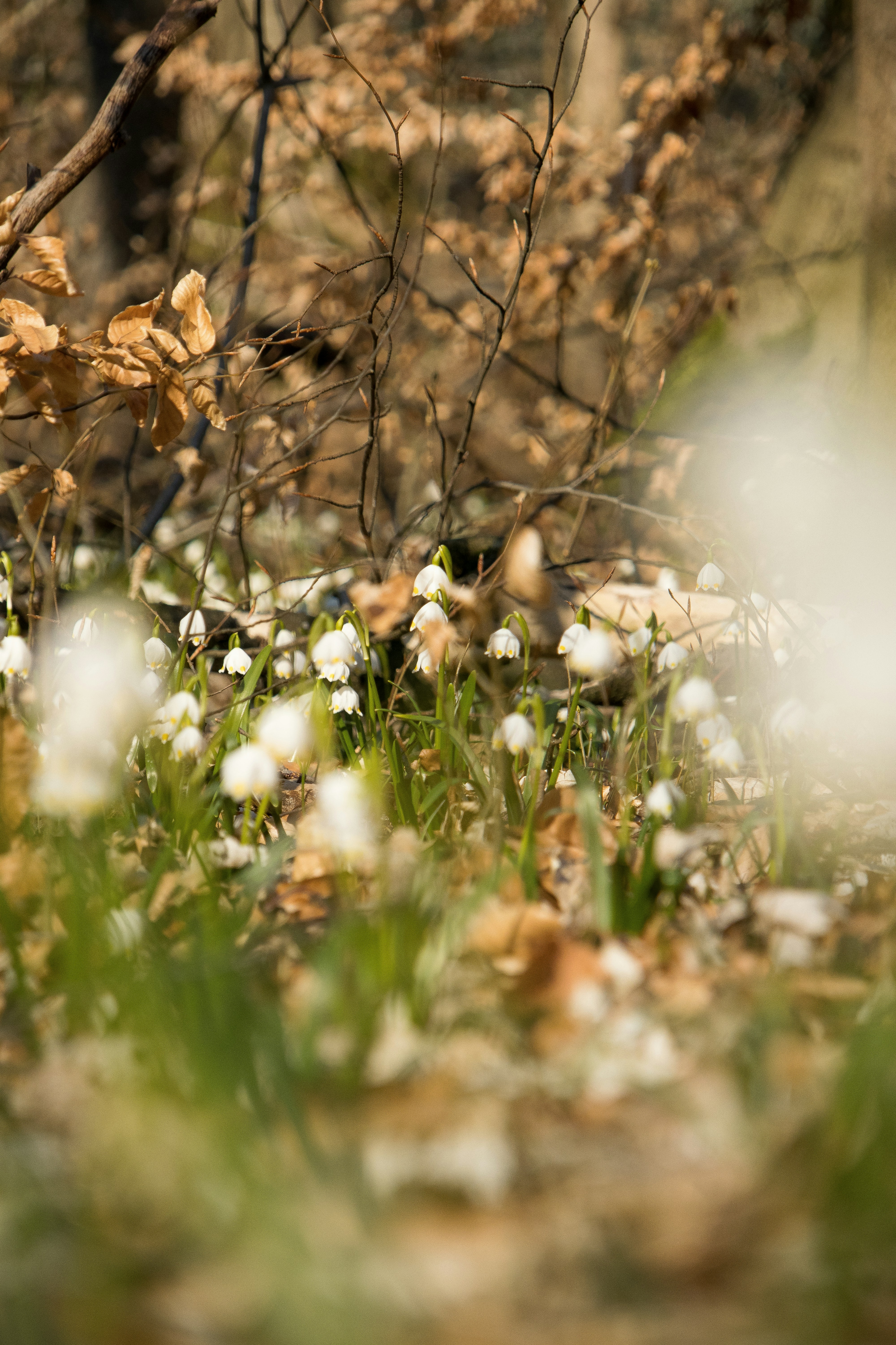 Photo by jacekjaniczak