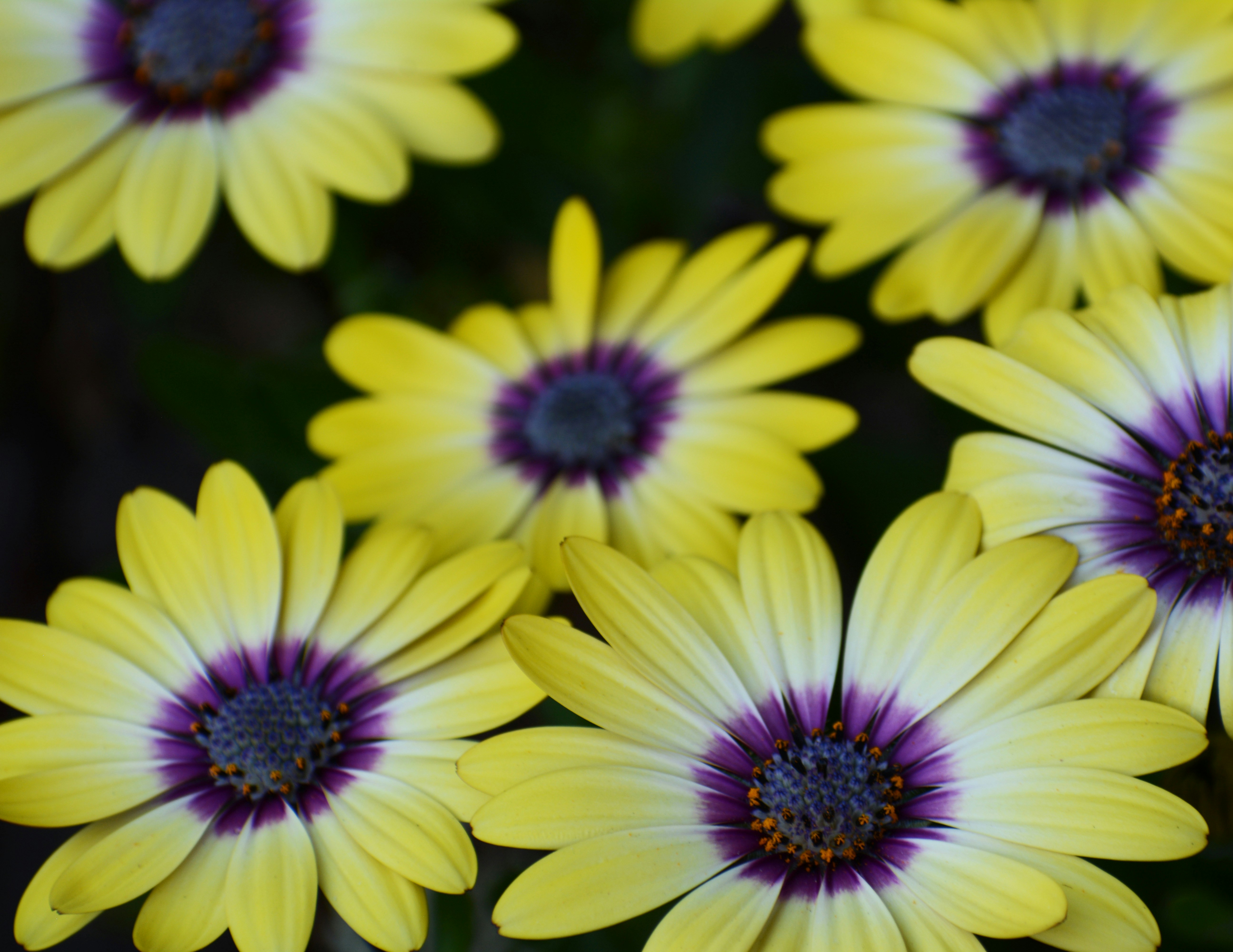 Photo by bymiyashiro