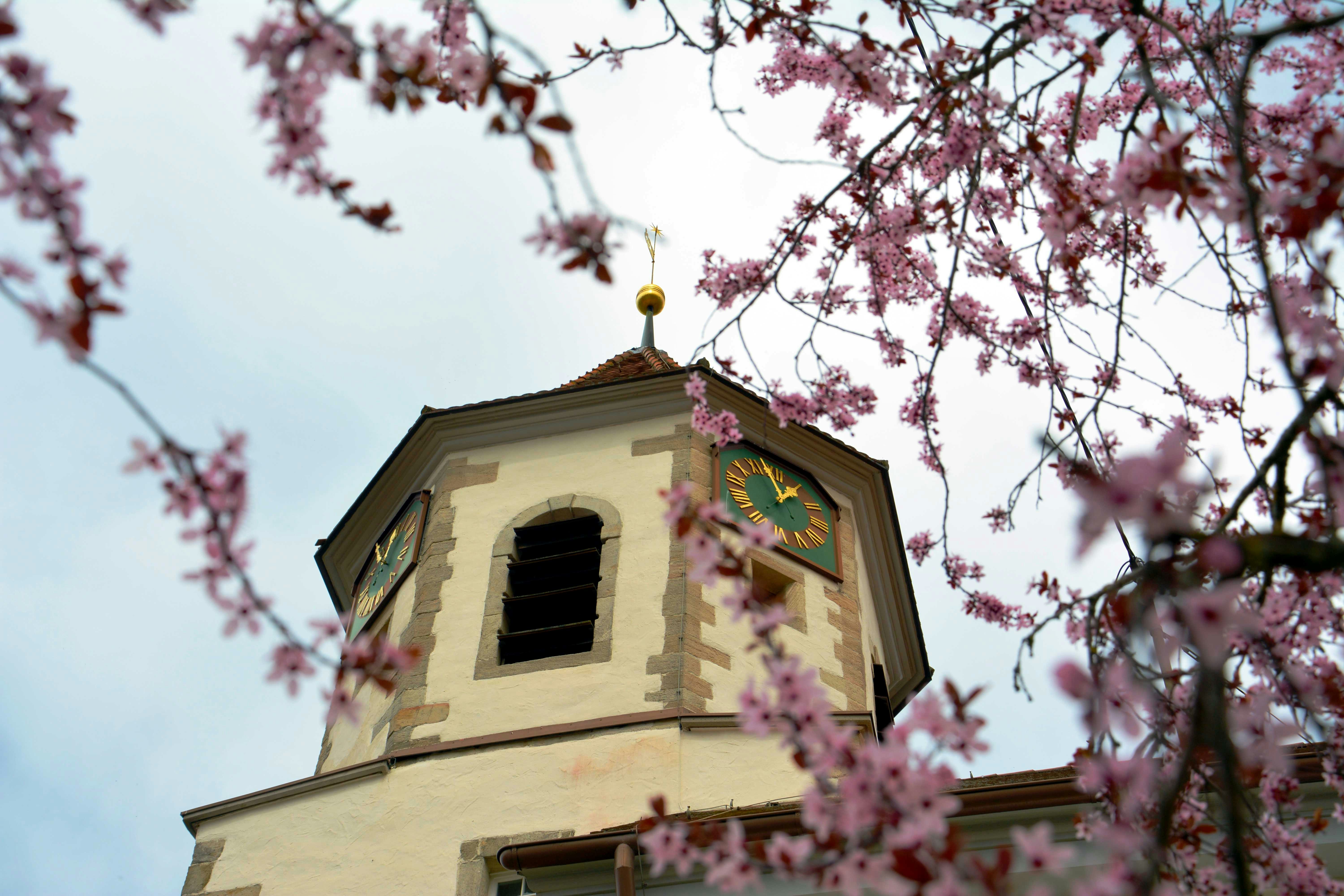 Photo by stefankroeger