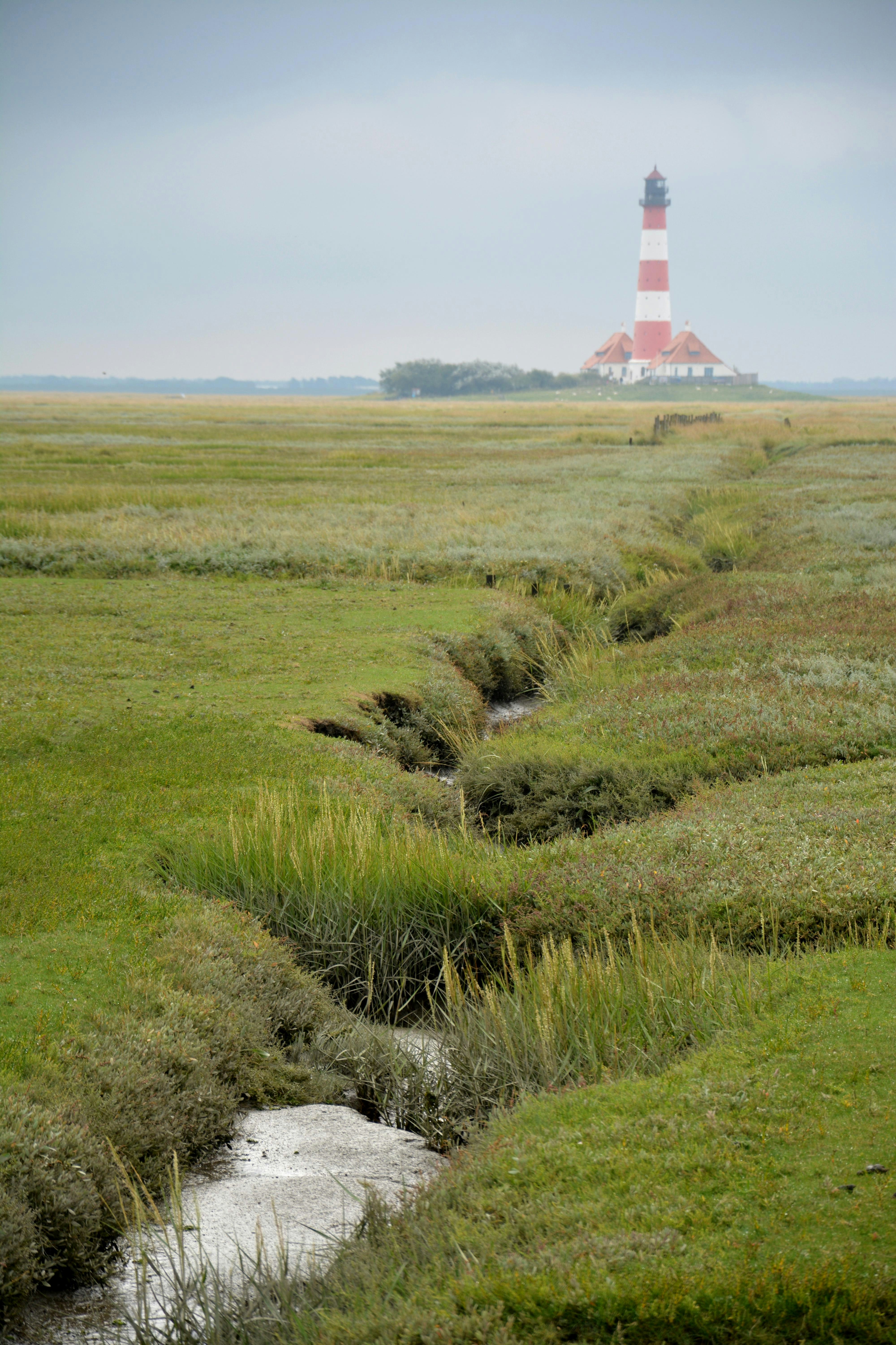a small stream running through a lush green field