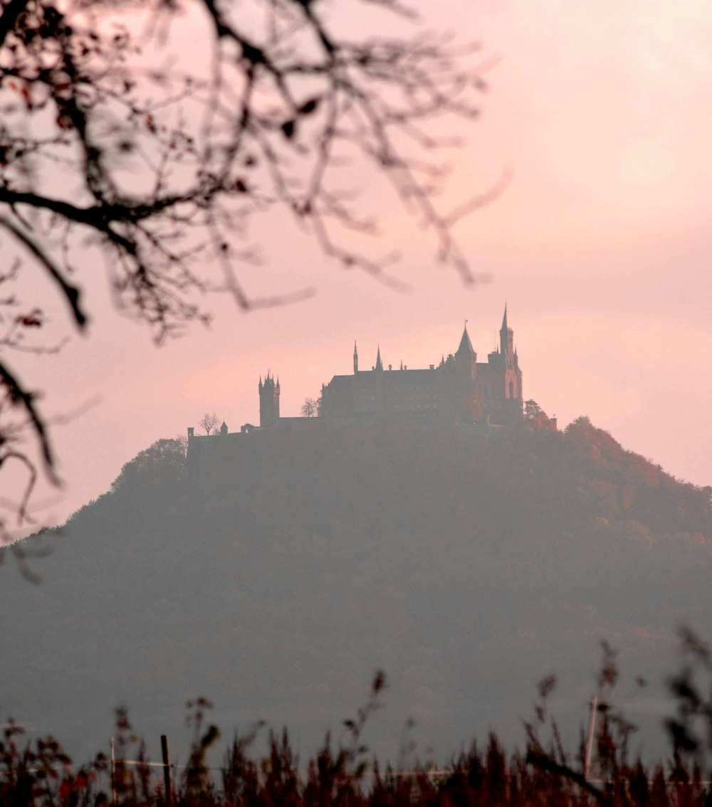 a castle on top of a hill with trees in the foreground