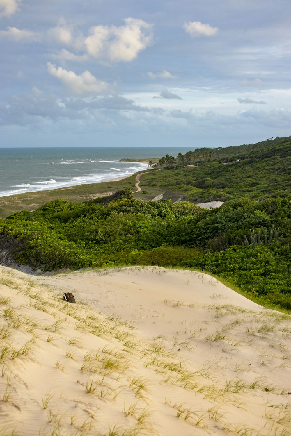 a view of the ocean from the top of a sand dune