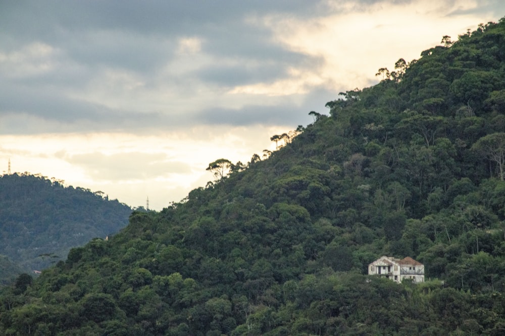 a house on a hill surrounded by trees