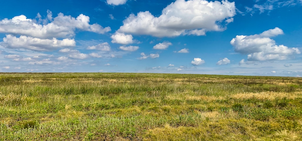 a field with grass and clouds in the sky