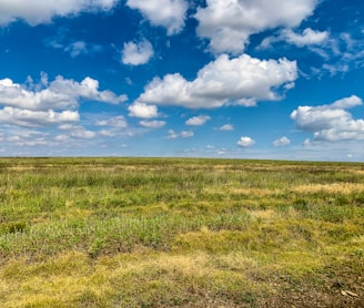 a field with grass and clouds in the sky