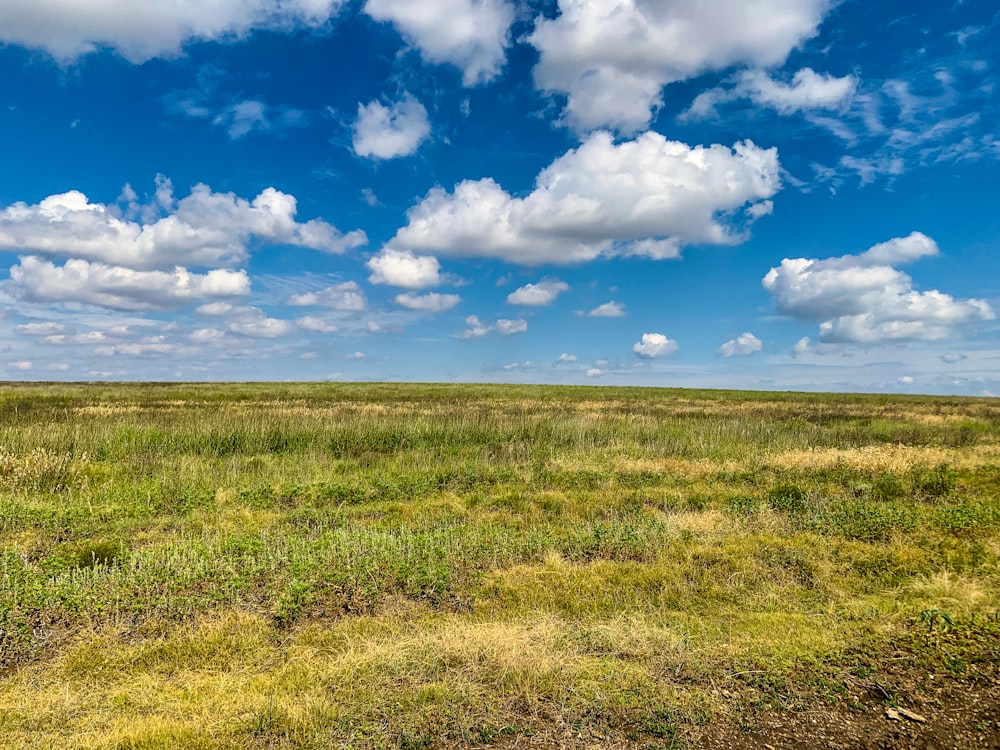 a field with grass and clouds in the sky