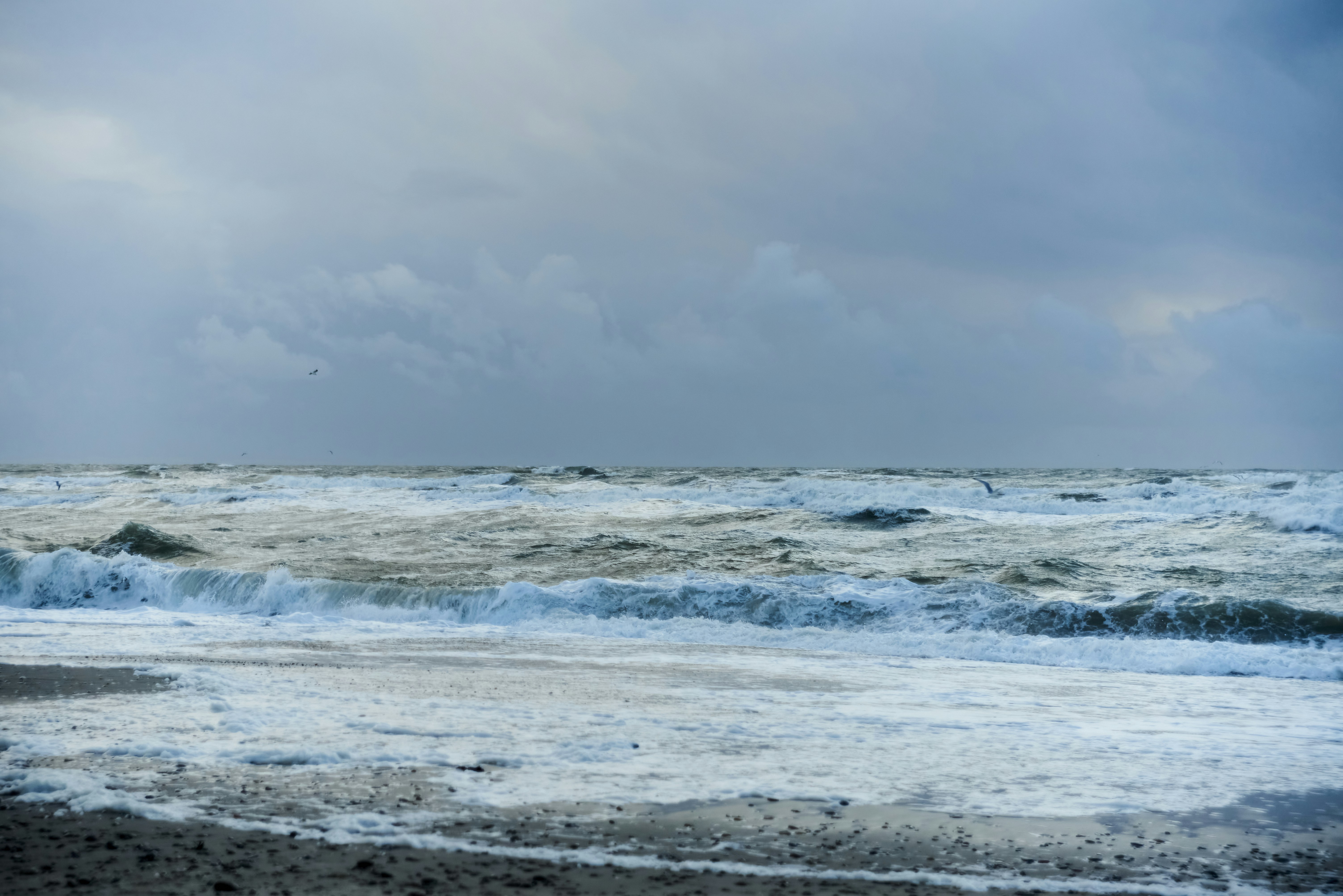 Photo by dreamerstranger