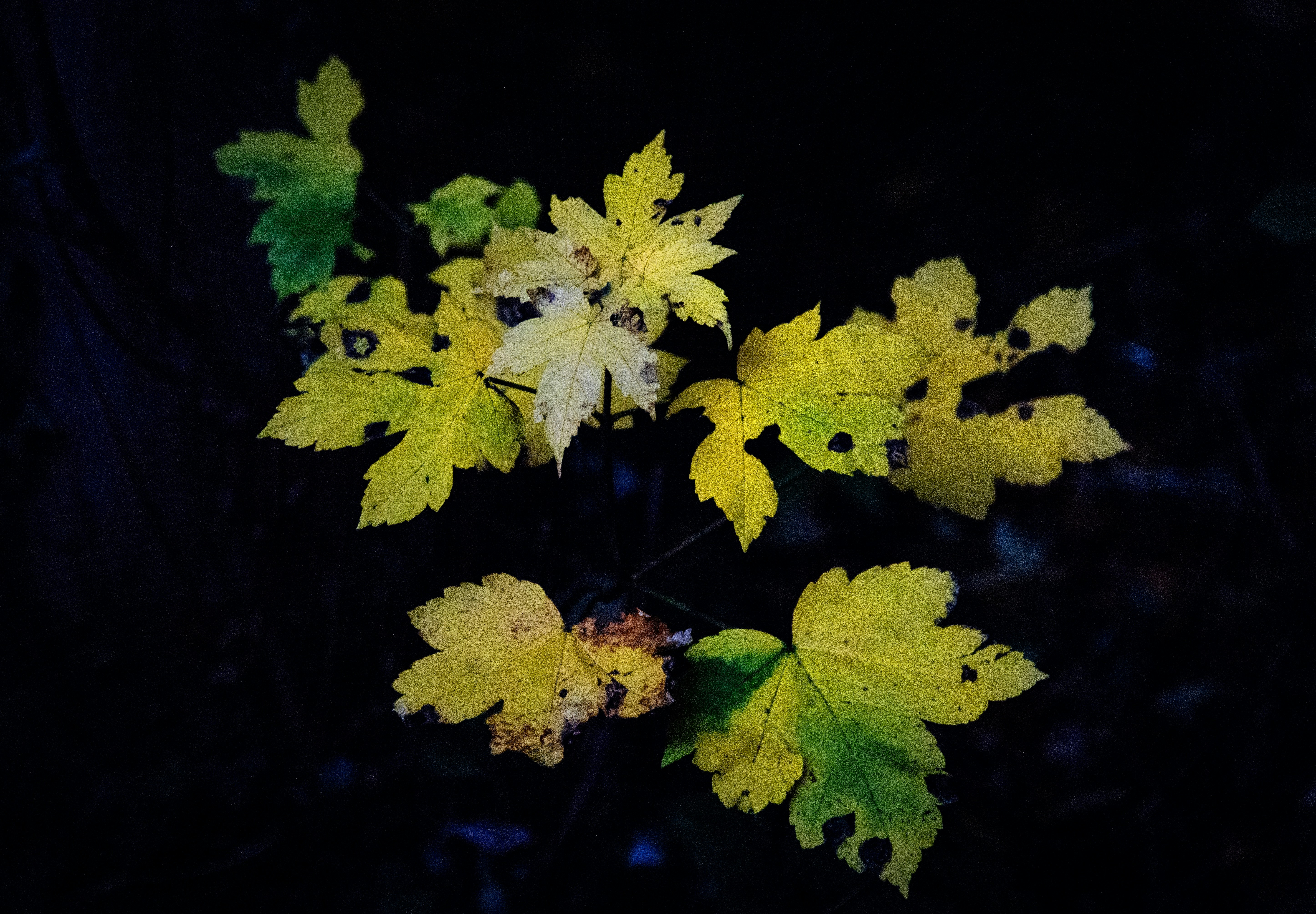 Photo by hdbernd