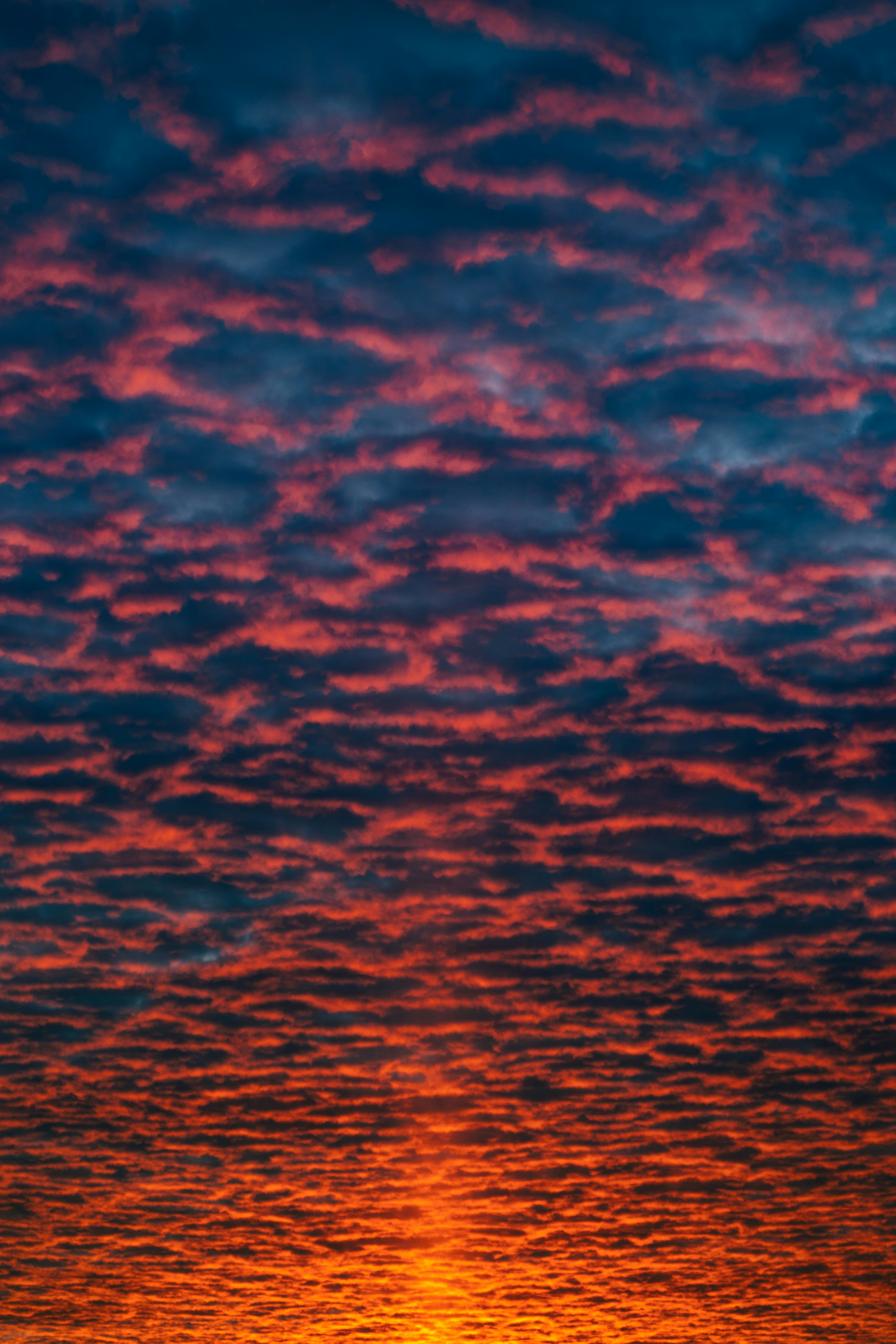 Photo by marekpiwnicki