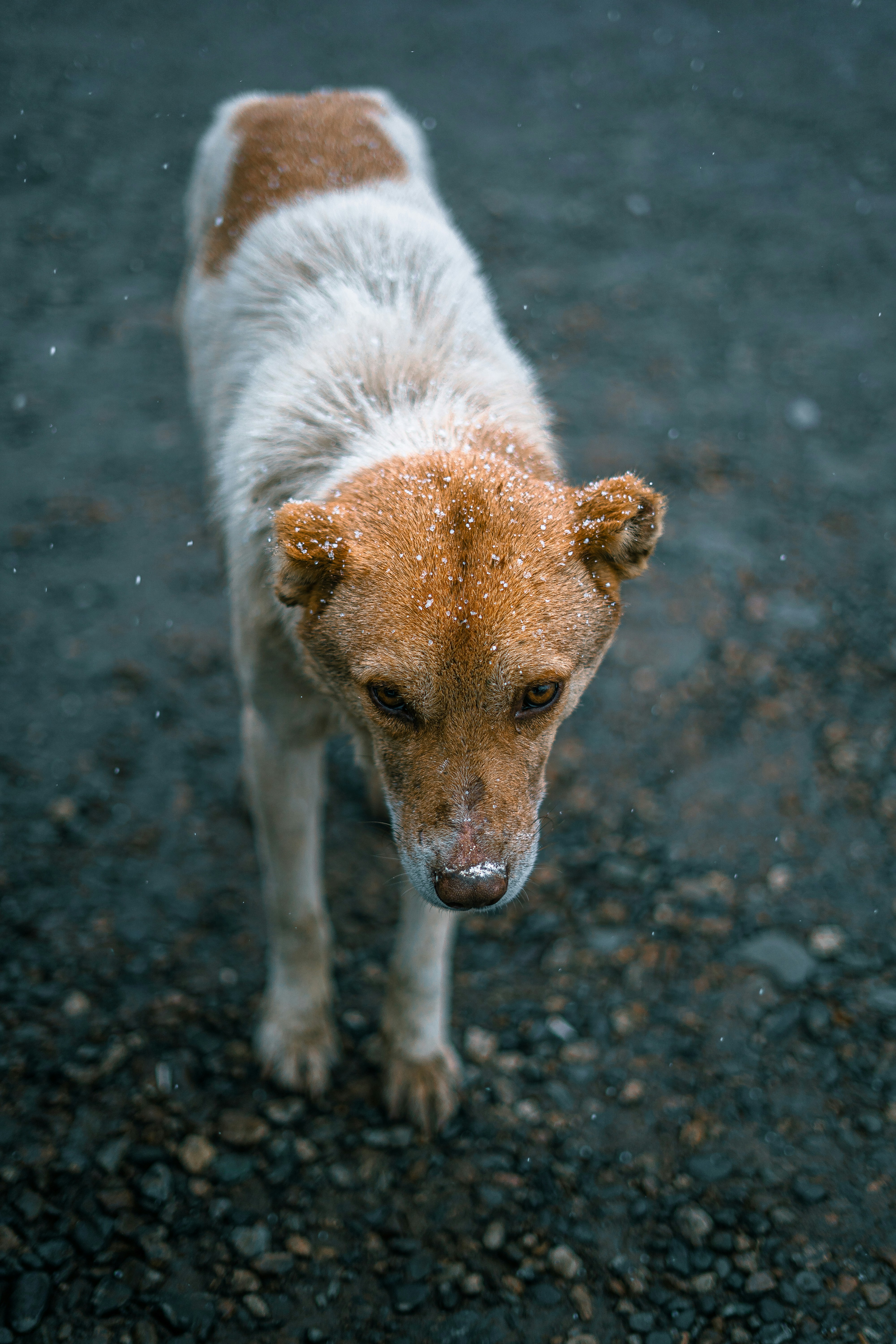 Photo by pouyahajibagheri