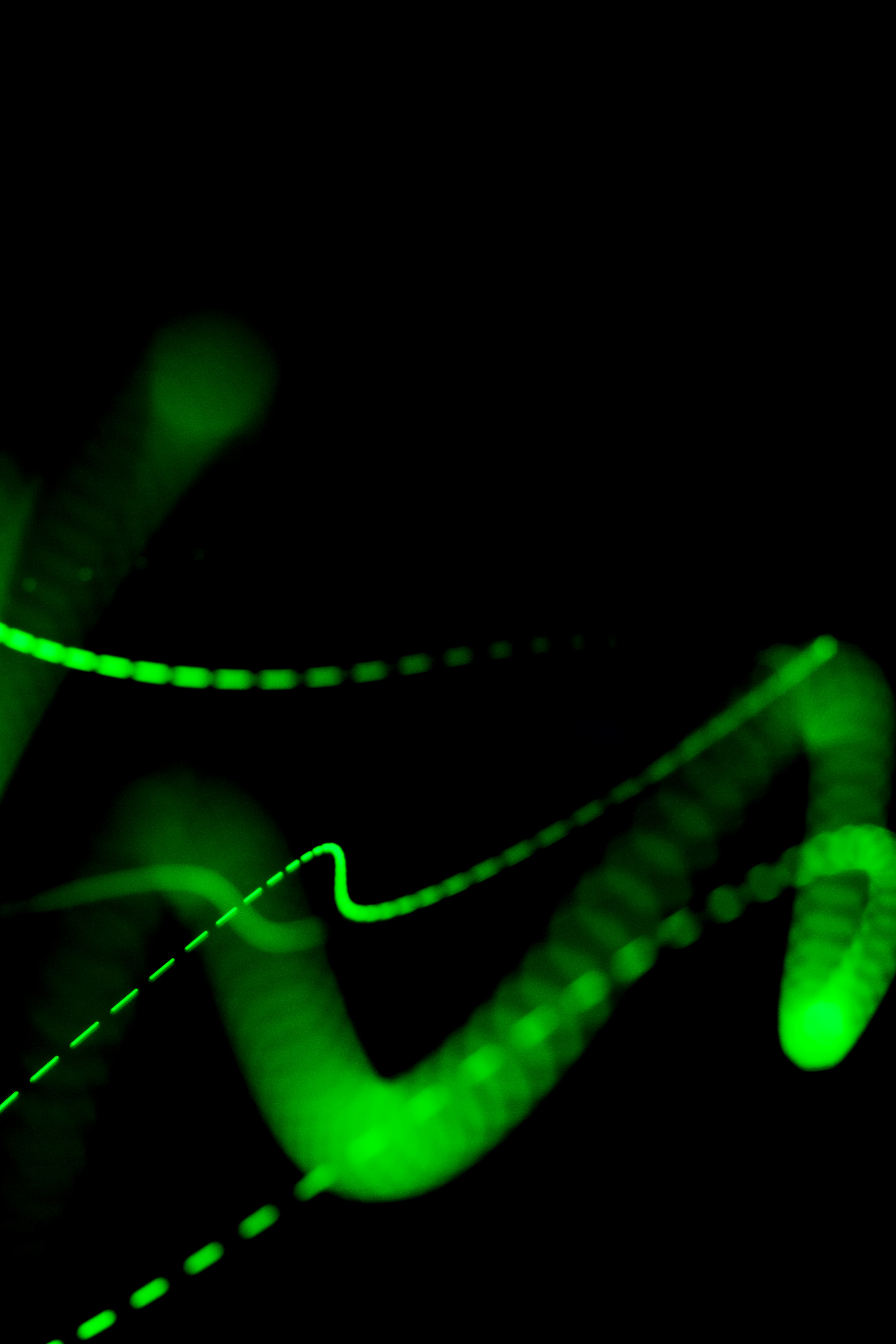 Photo by secondsight