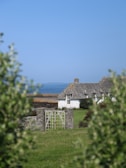 A quaint white cottage with a thatched roof is nestled in a lush green field. The scene is framed by foliage in the foreground, with a view of the sea and clear blue sky in the background. A stone archway and gate lead towards the house, adding to the rustic charm.