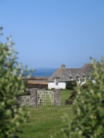 A quaint white cottage with a thatched roof is nestled in a lush green field. The scene is framed by foliage in the foreground, with a view of the sea and clear blue sky in the background. A stone archway and gate lead towards the house, adding to the rustic charm.