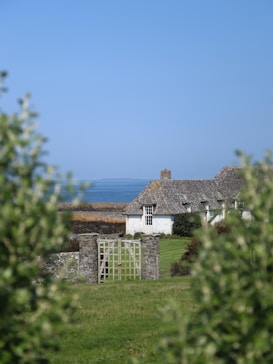 A quaint white cottage with a thatched roof is nestled in a lush green field. The scene is framed by foliage in the foreground, with a view of the sea and clear blue sky in the background. A stone archway and gate lead towards the house, adding to the rustic charm.
