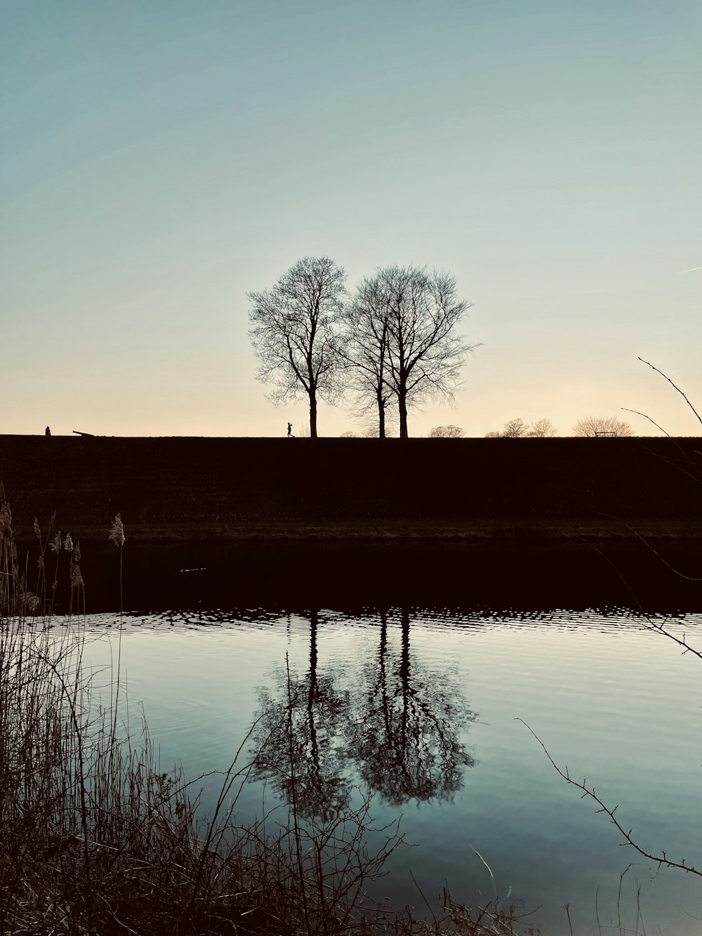 a body of water with trees in the background