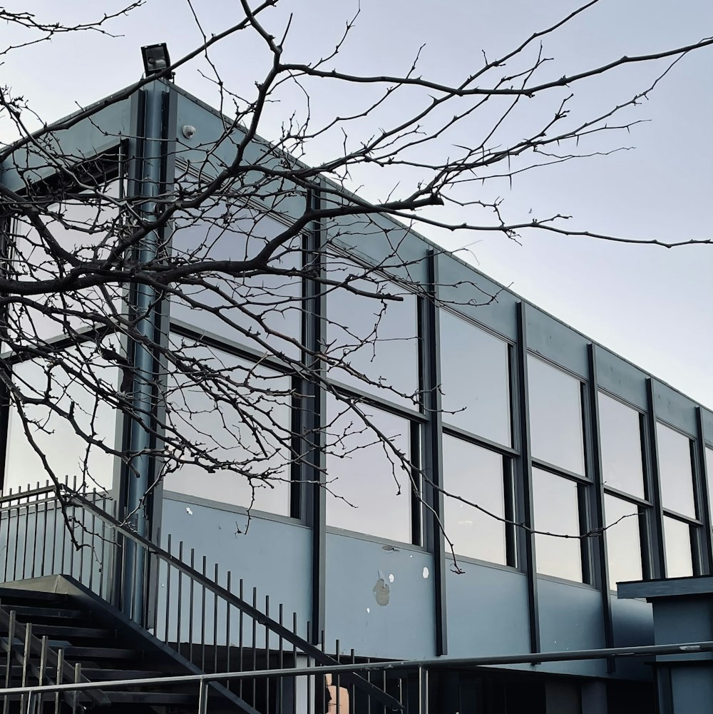 a building with a tree in front of it